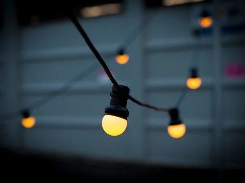 WARM WHITE FROSTED FESTOON LIGHTS → 