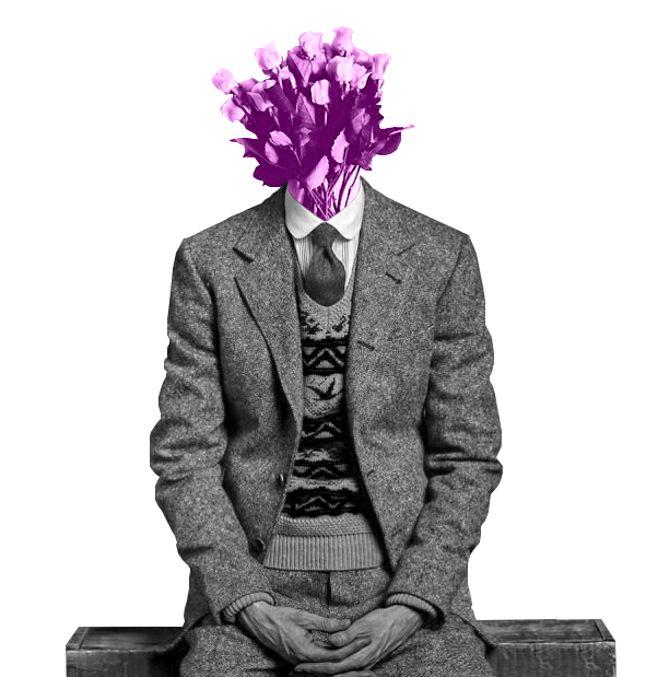 Pinks Flower.png