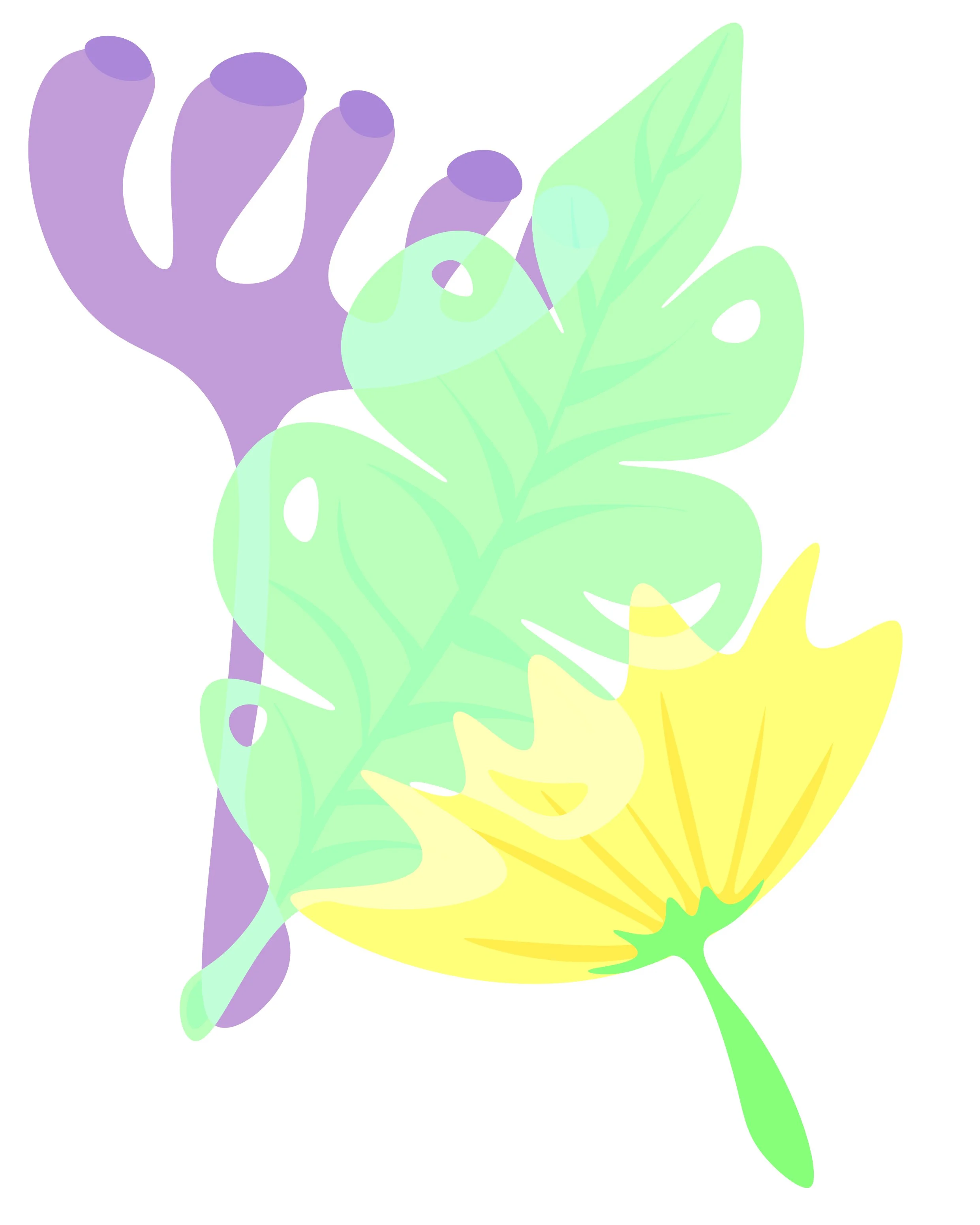 Overlay plants-02.jpg