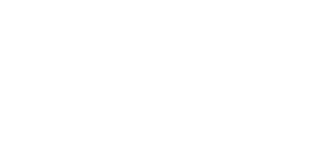 Oleander Consulting