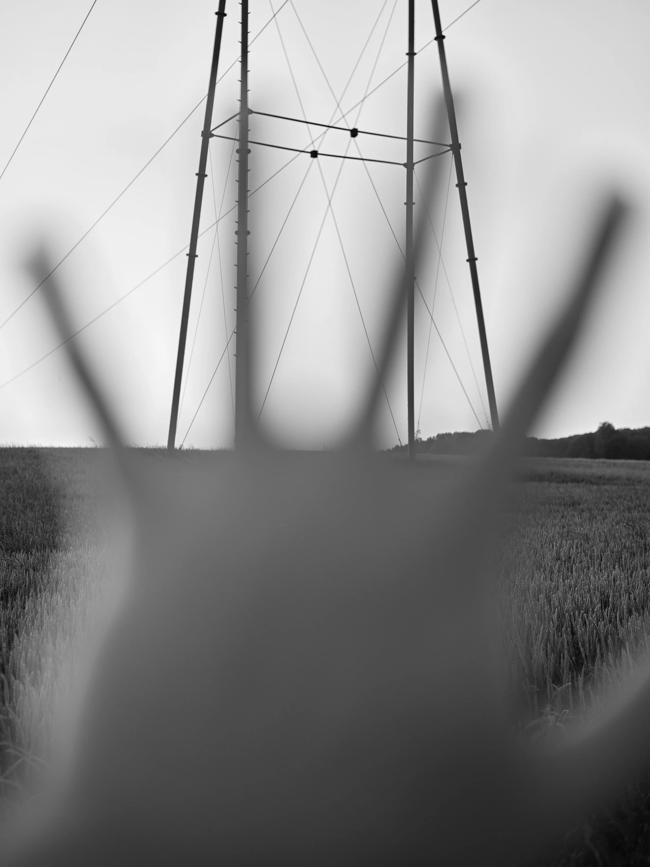 2023 - Hand in Front of Power Lines.jpg