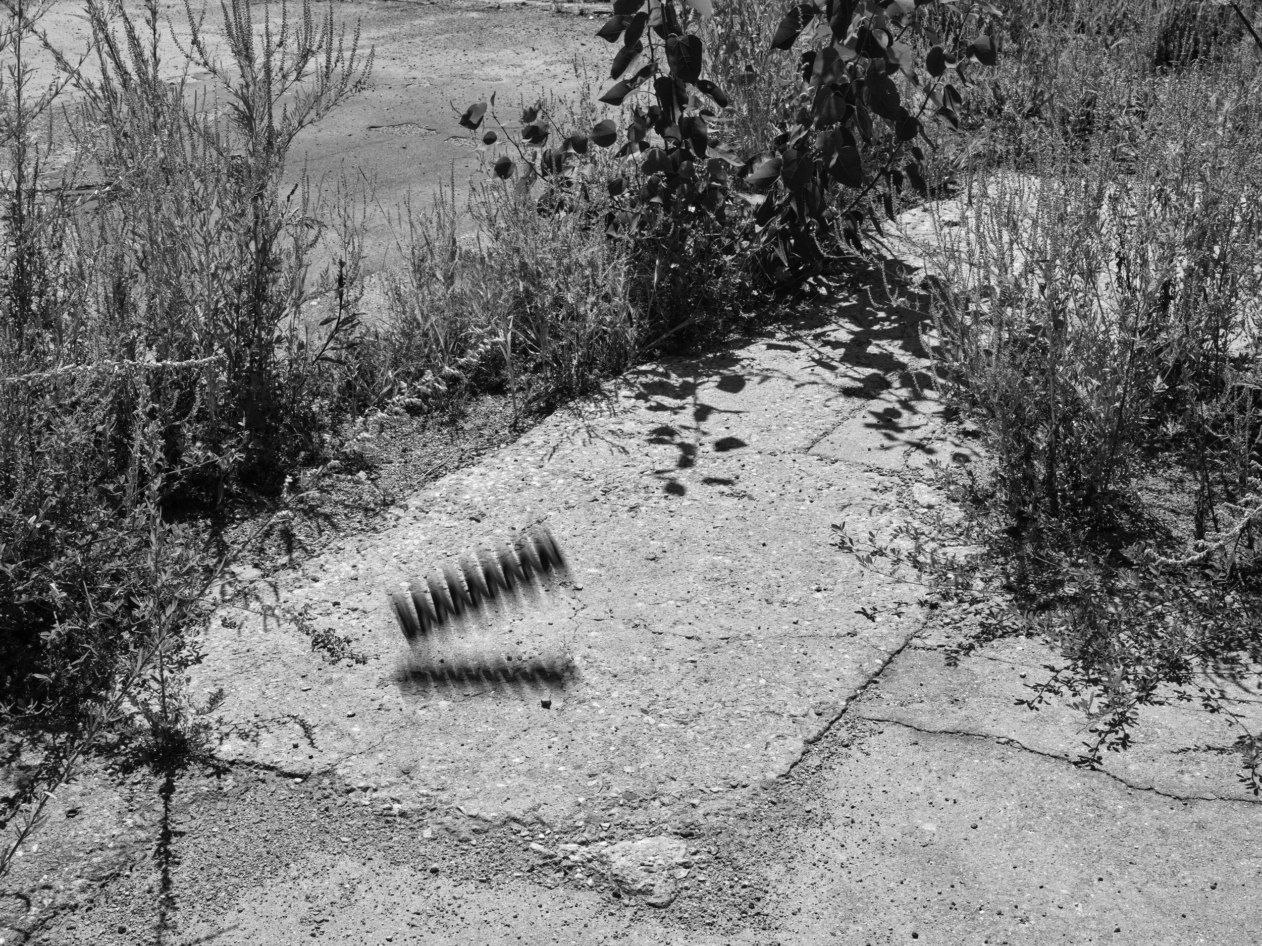 2026 - Rolling Spring (Reshoot).jpg