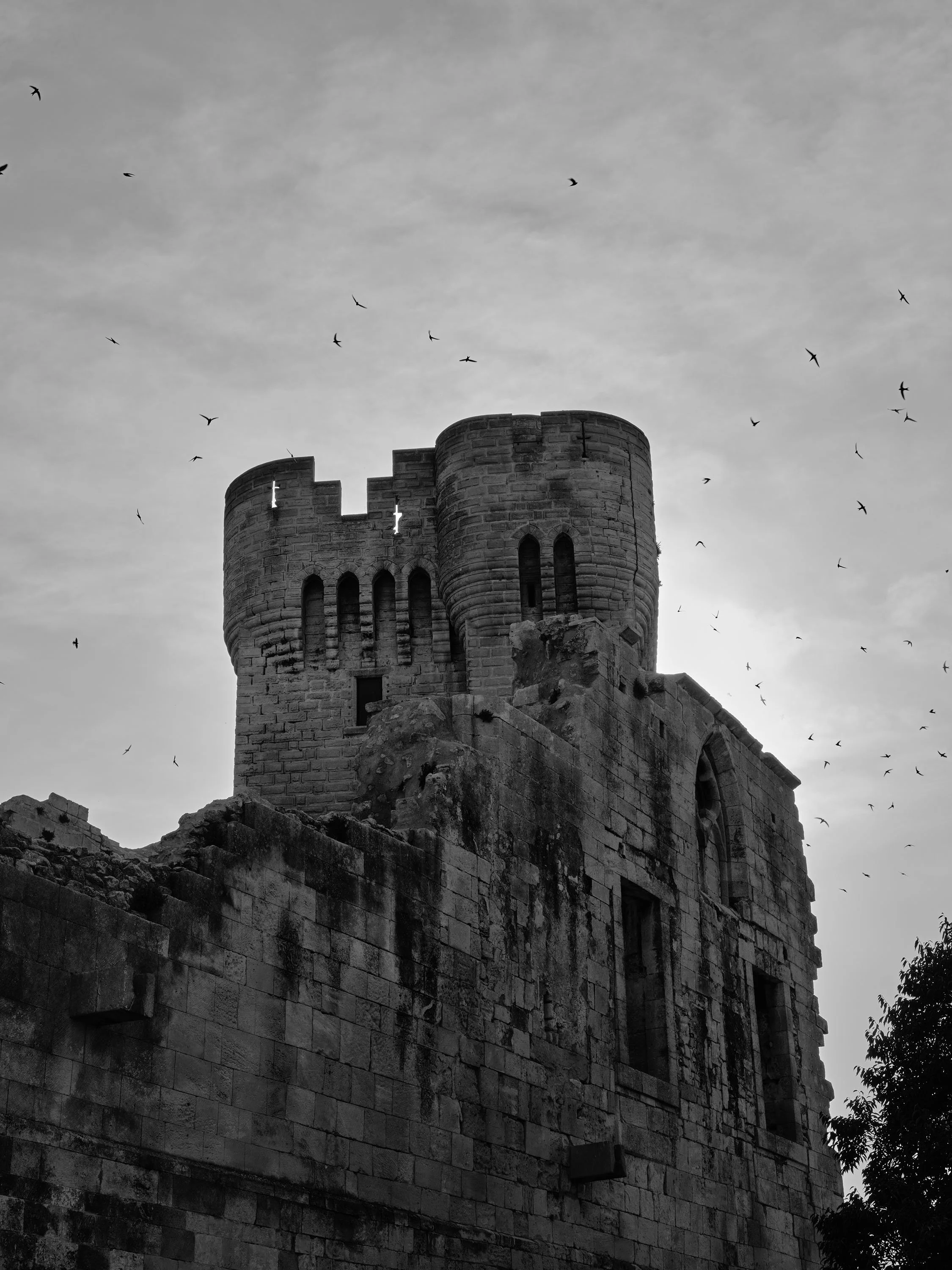 2022 - Abbaye de Montmajour Tower with Birds.jpg