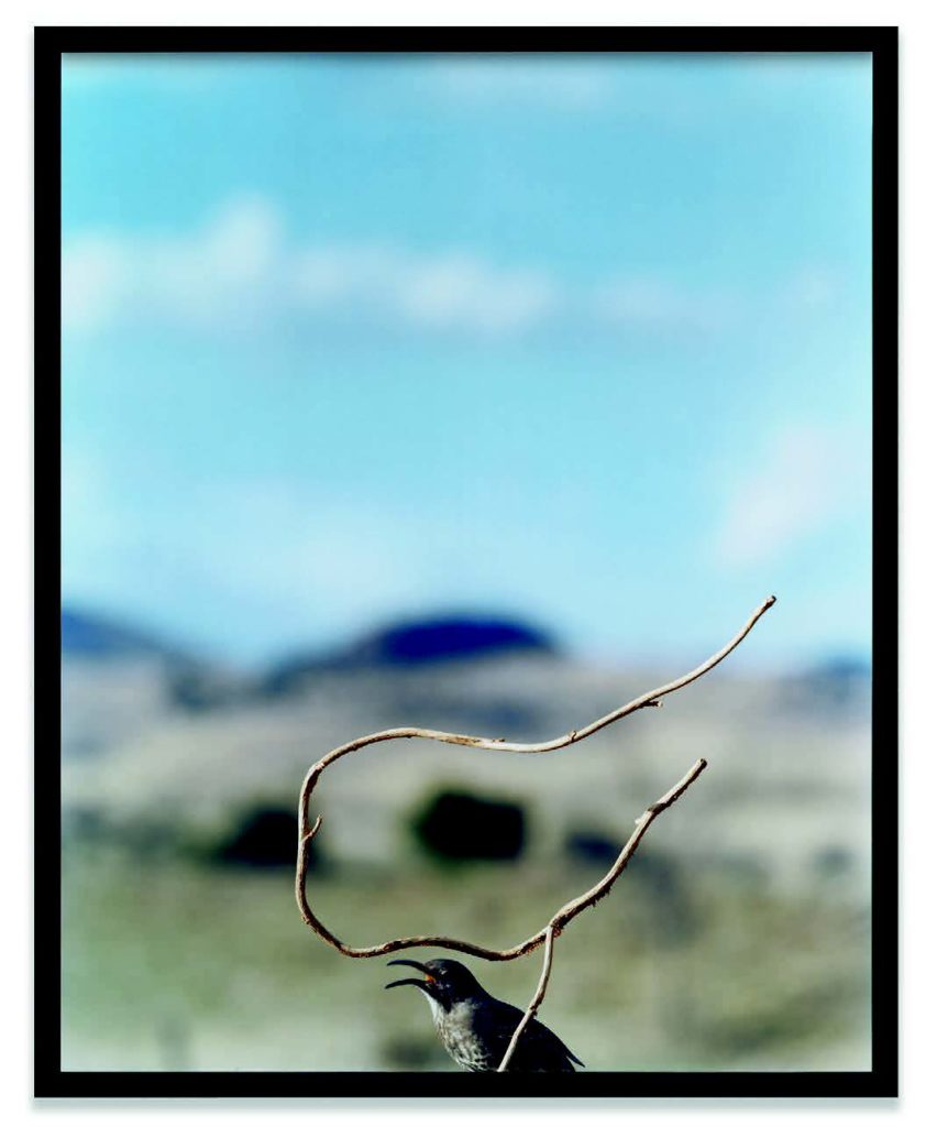 Art_Basel_2018_Preview3-842x1024.jpg