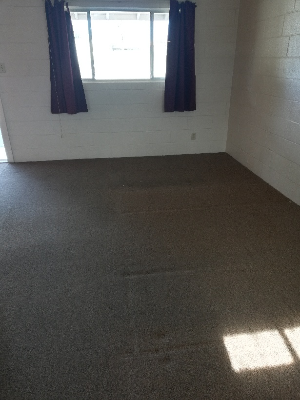 Carpet, Be gone!