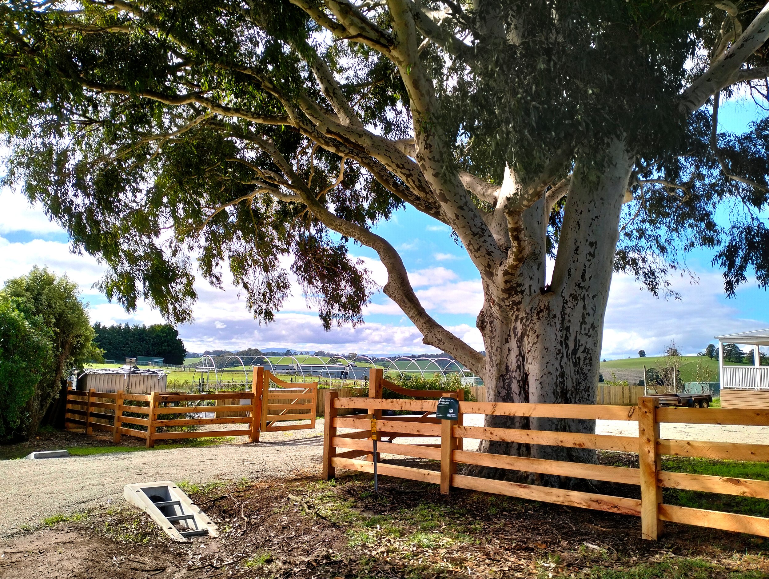 Post and rail fencing with four rails entrance.jpg