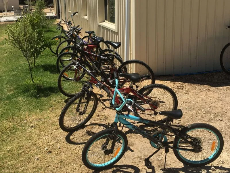 bikes.jpg
