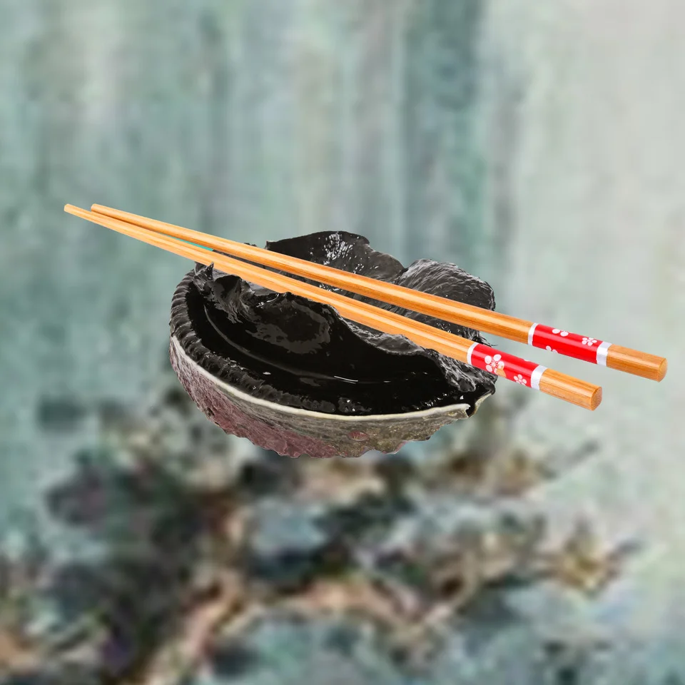Simon Kaan, Paua and Chopsticks, 2018.jpeg