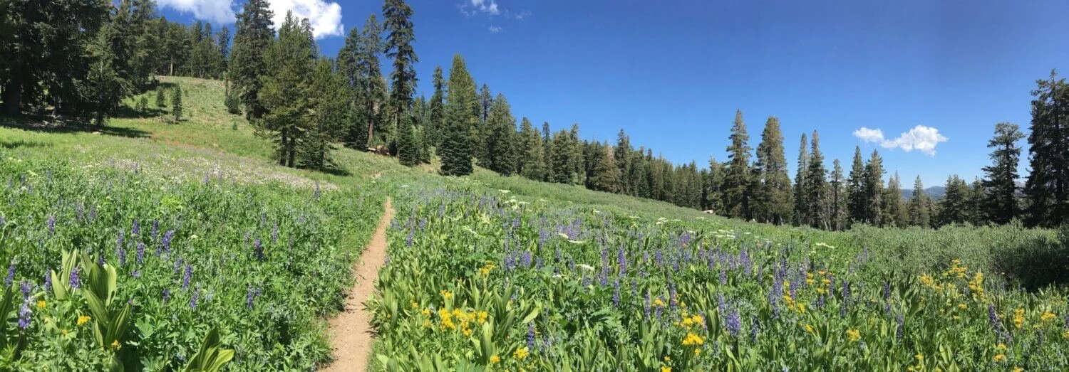 El-Dorado-Hiking-Trails.jpg