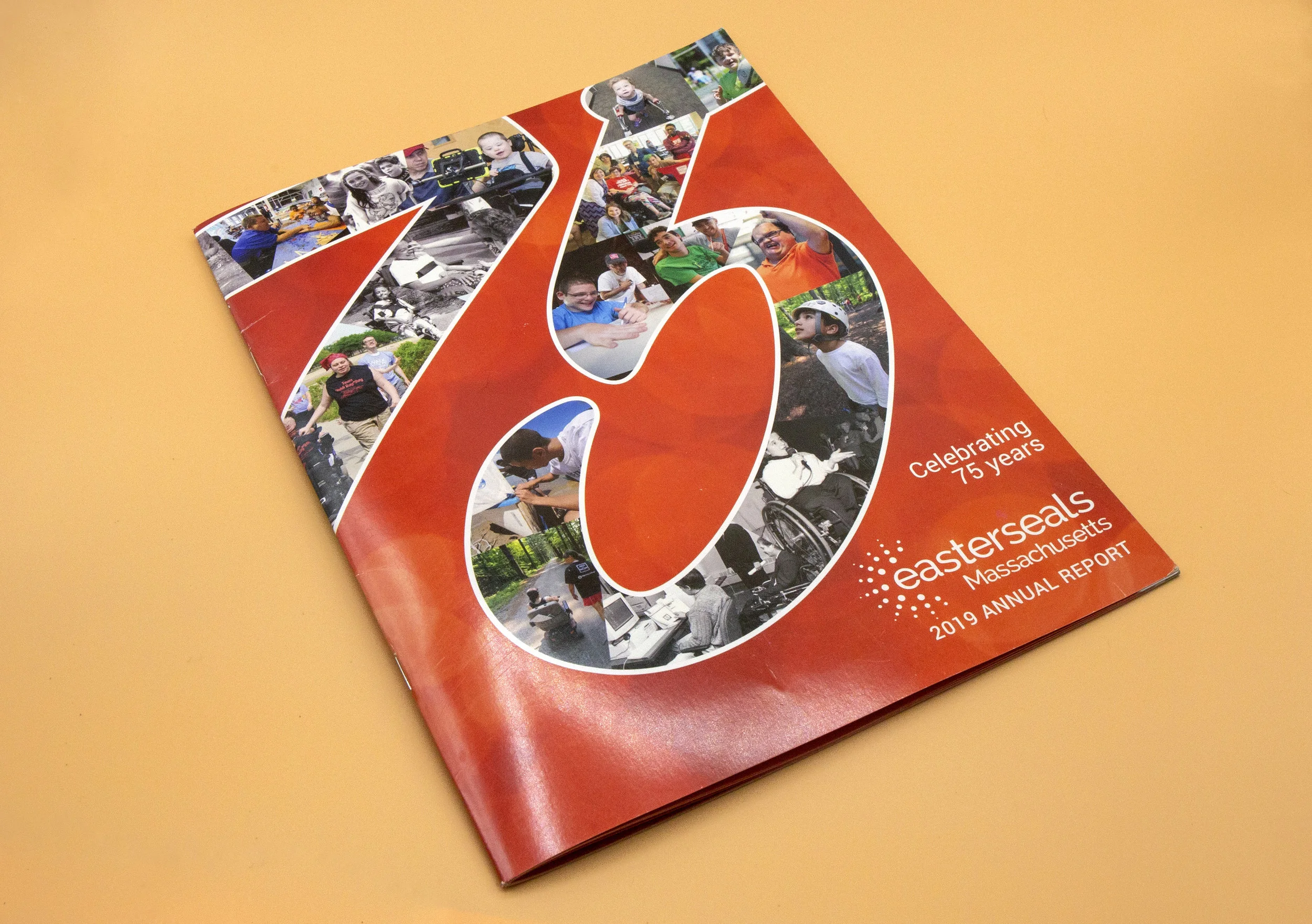 Easterseals MA Annual Report