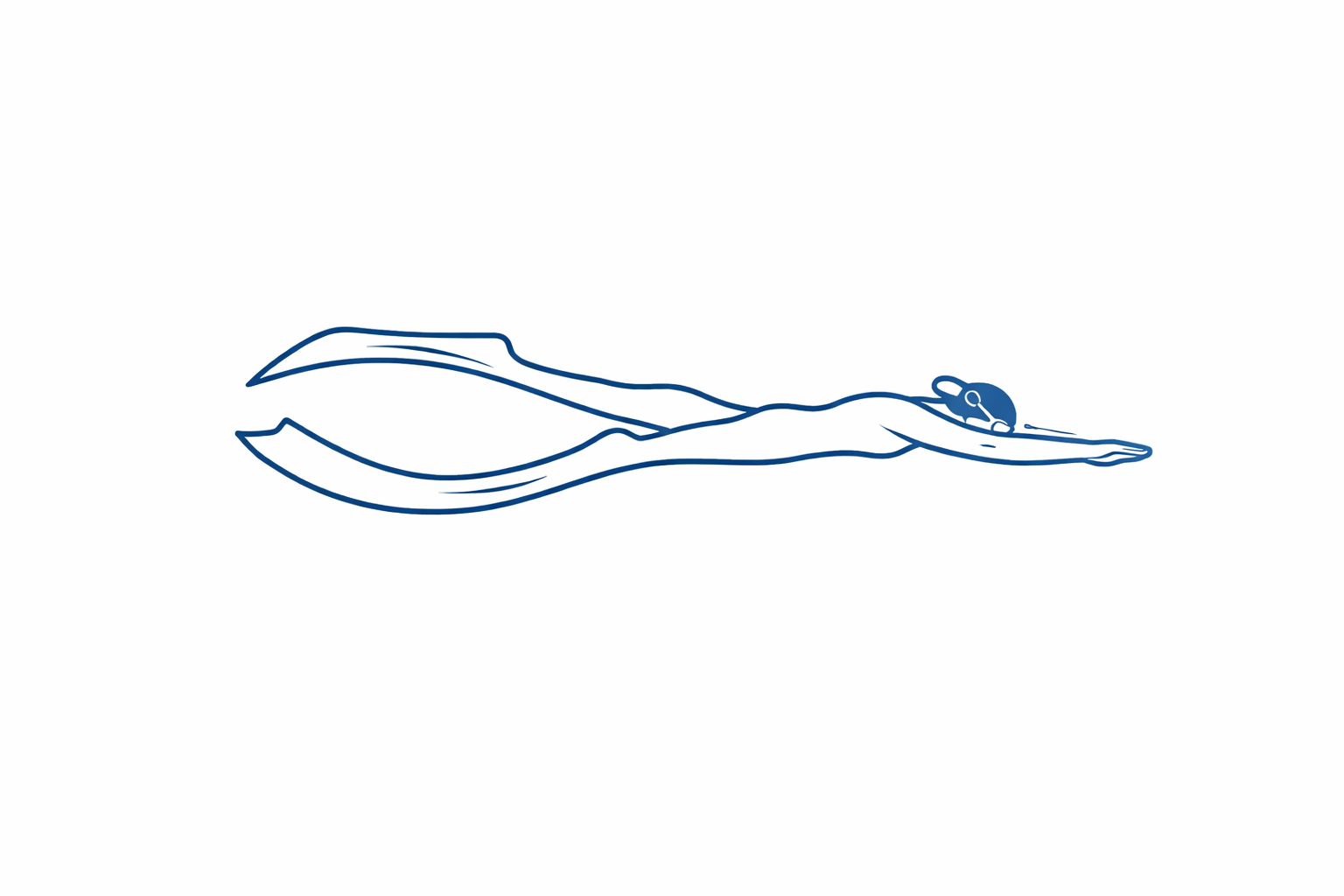     Freedive Training   Instructor-led ocean training sessions are offered outside of whale swims to improve freedive technique and comfort. PADI or Mochanovs Programs are offered, and certification can be granted if the students meets all performanc