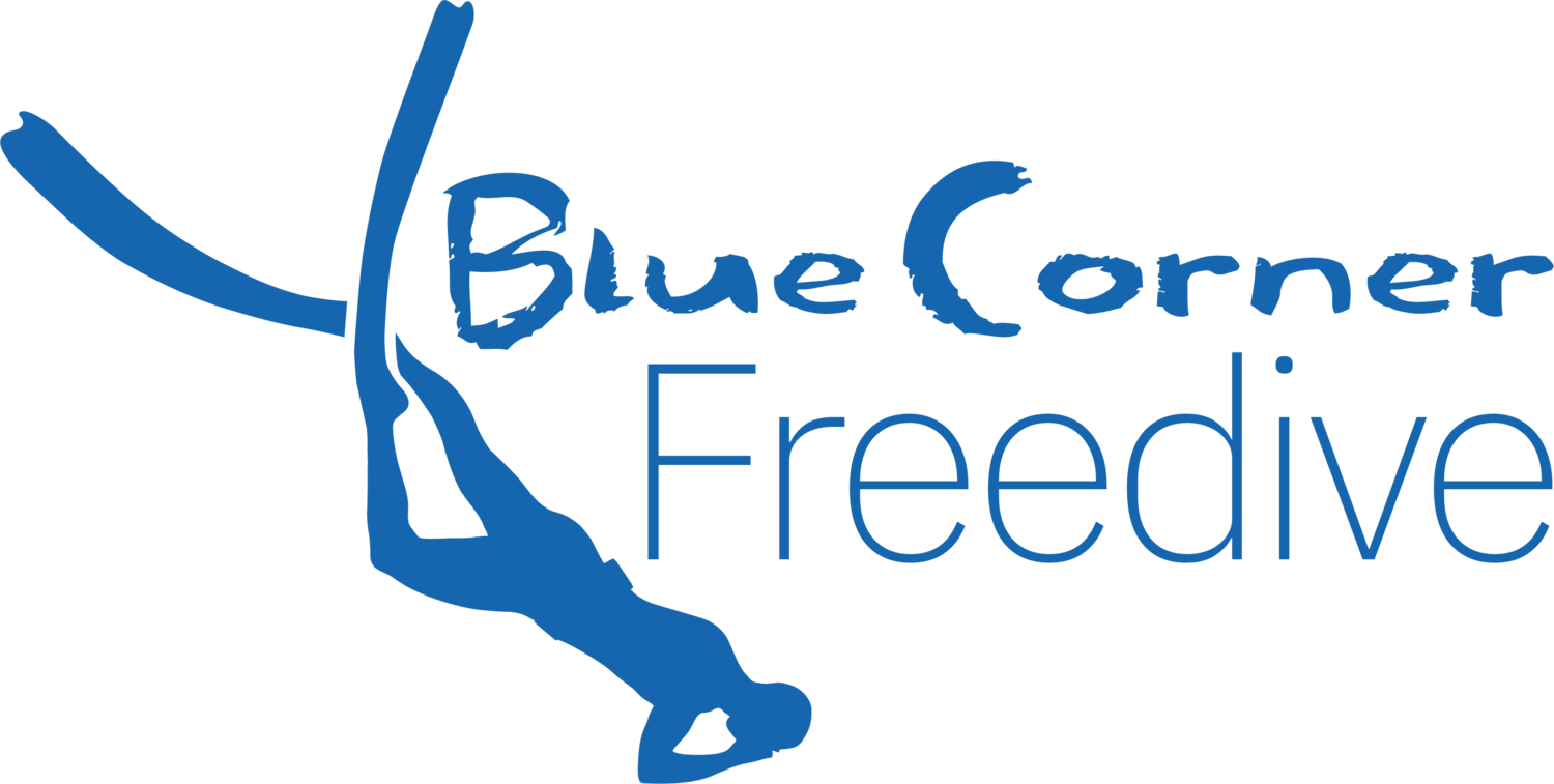 Freediving Lembongan | Blue Corner Freedive