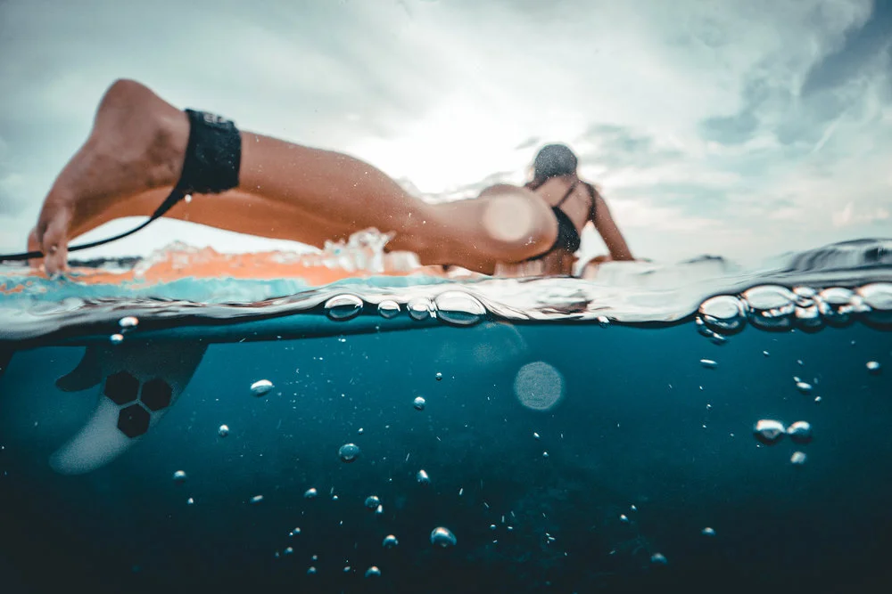top 5 reasons about the surfing and freediving
