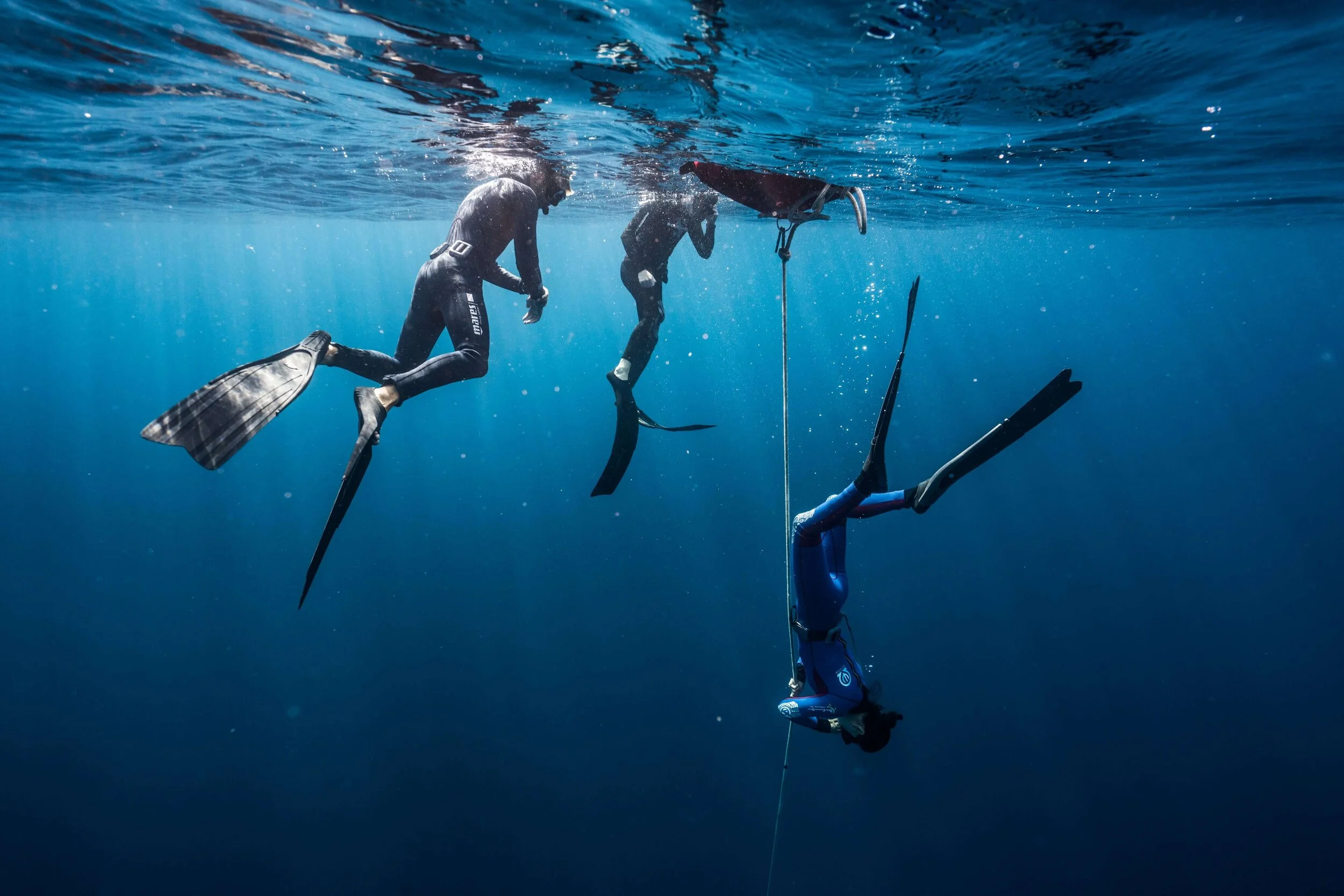 Human demonstrating the mammalian dive reflex, highlighting the body’s natural capacity for breath-hold and underwater adaptation.