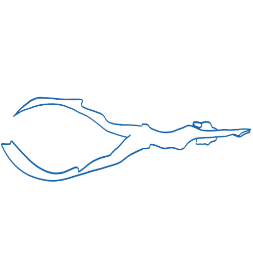 PADI Freediving Retreat