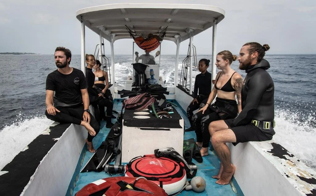 Comparing Freediving Certification Agencies: AIDA, PADI, Molchanovs, and SSI
