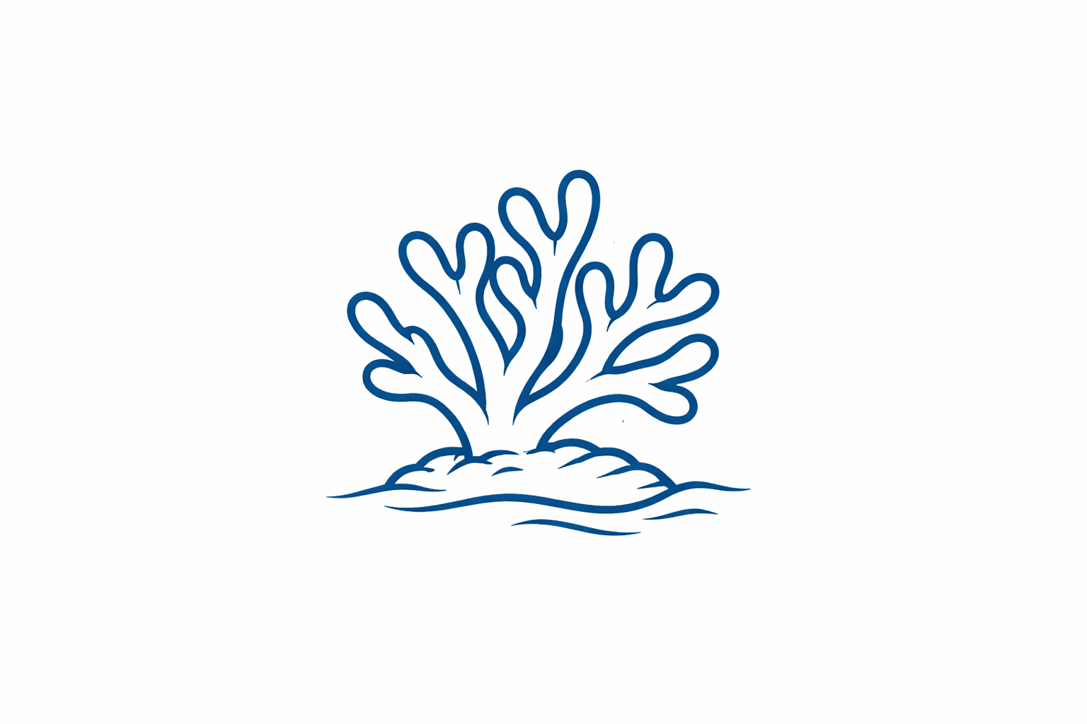     Coral Conservation    A coral restoration workshop about the Gaia One Coral Project and a full-day freedive excursion to the conservation sites to get our hands dirty. 