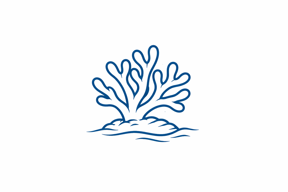 Coral Conservation