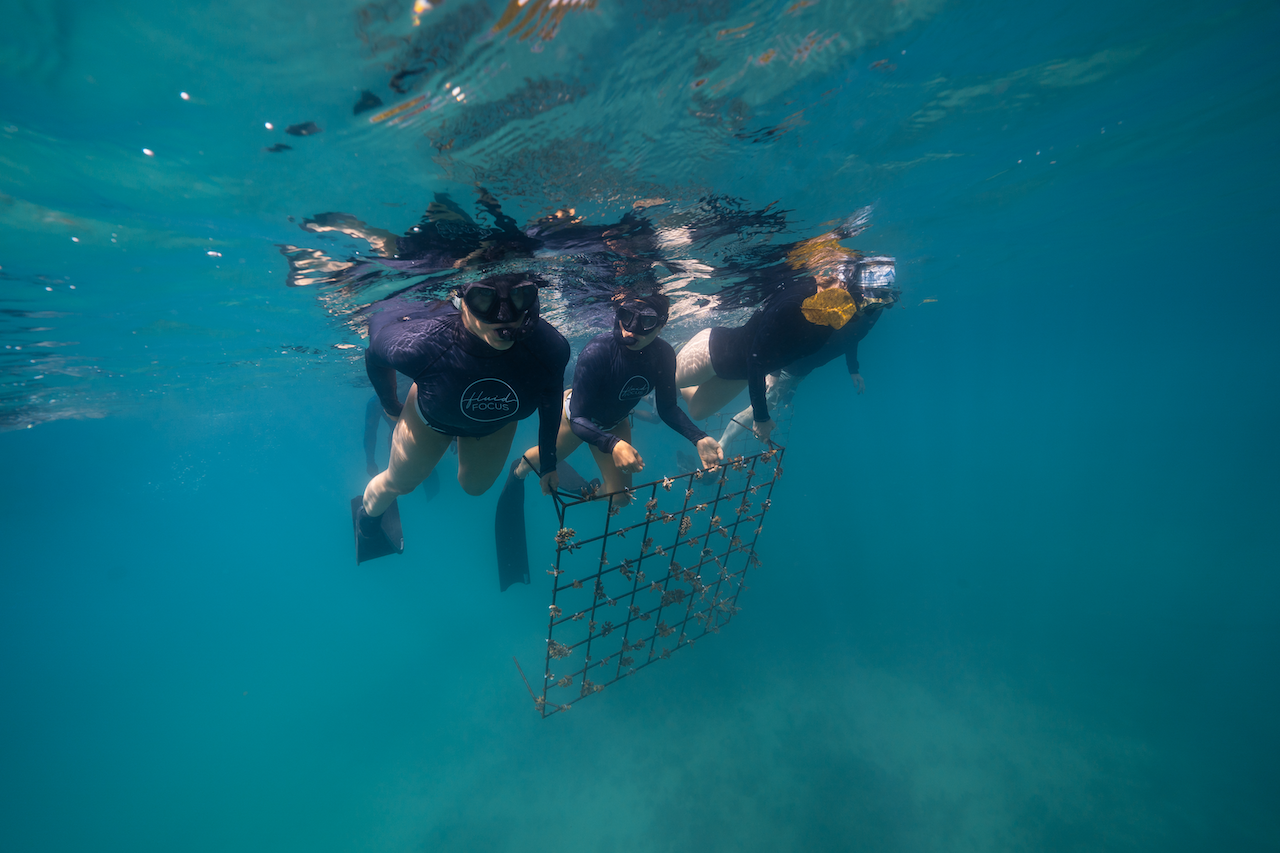 AIDA vs. PADI vs. Molchanovs Instructor Courses – Which is Best?