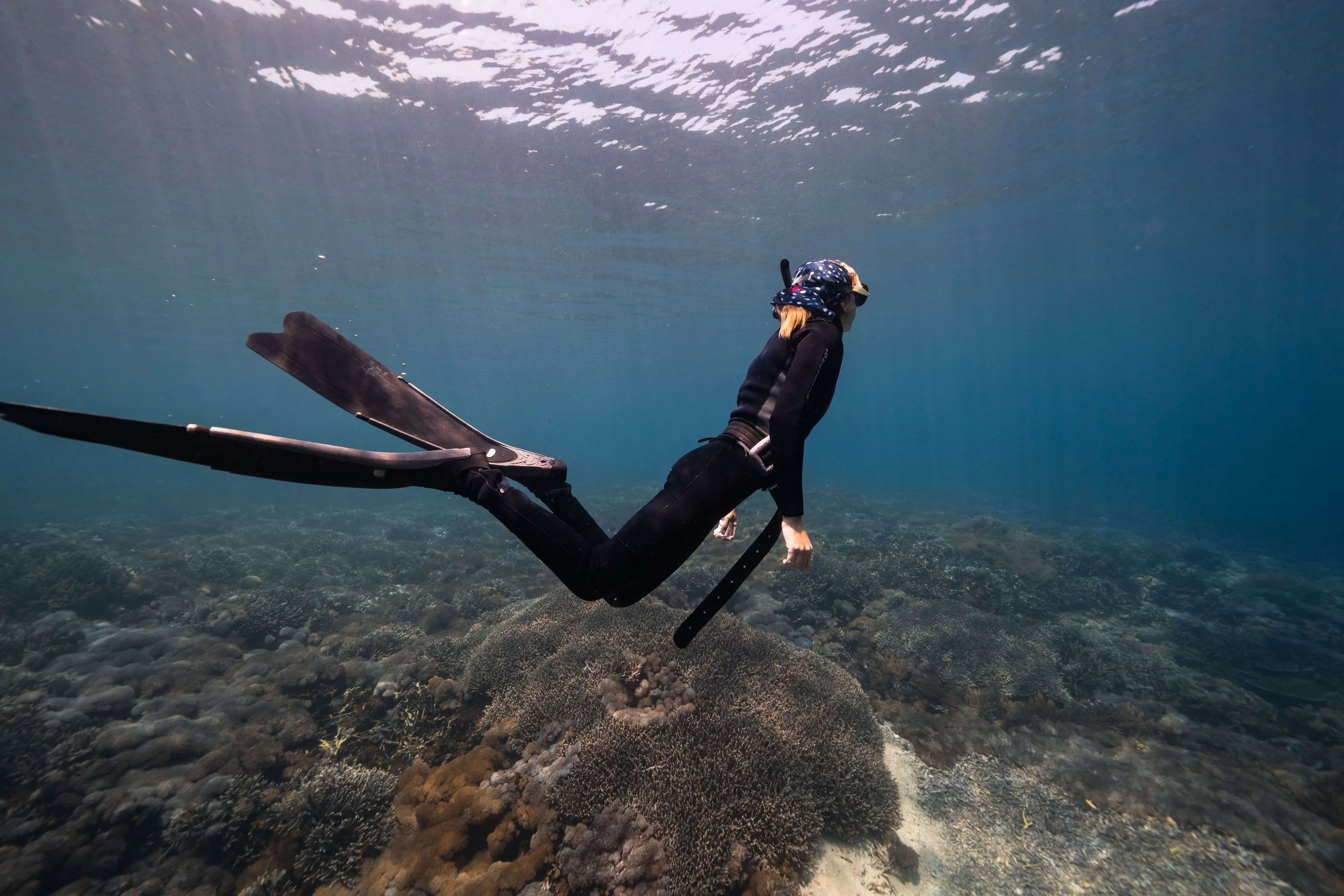 Freediving for Dummies: The Basics.