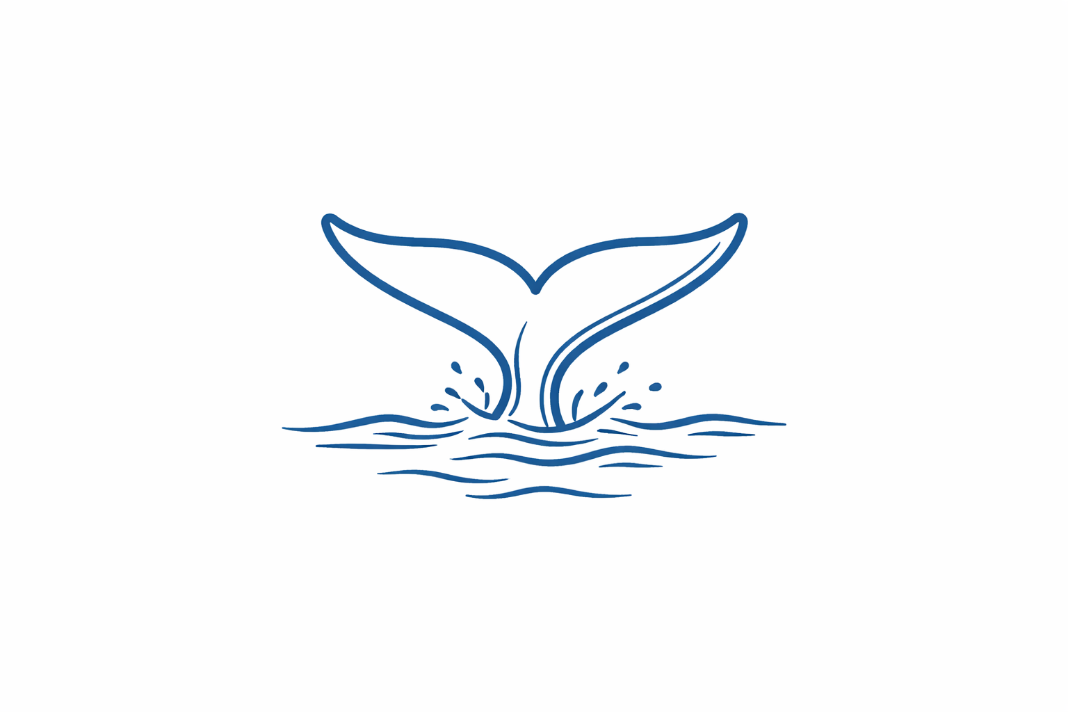     Whale Swims   Four full days of Humpback Whale swims, including all transports, guides and captains. These swims will be conducted in line with Tongan rules and regulations.  