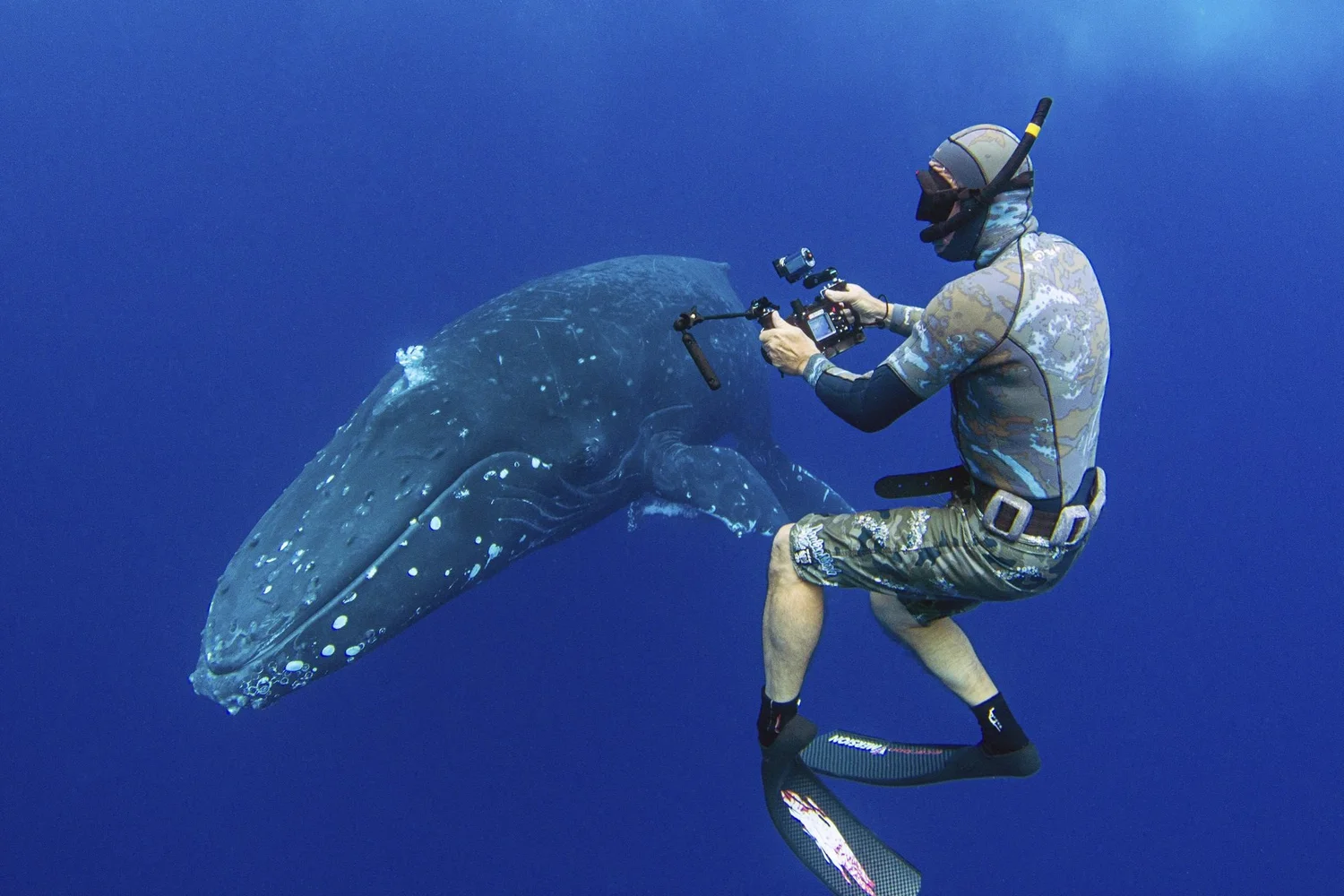 Tonga Expedition