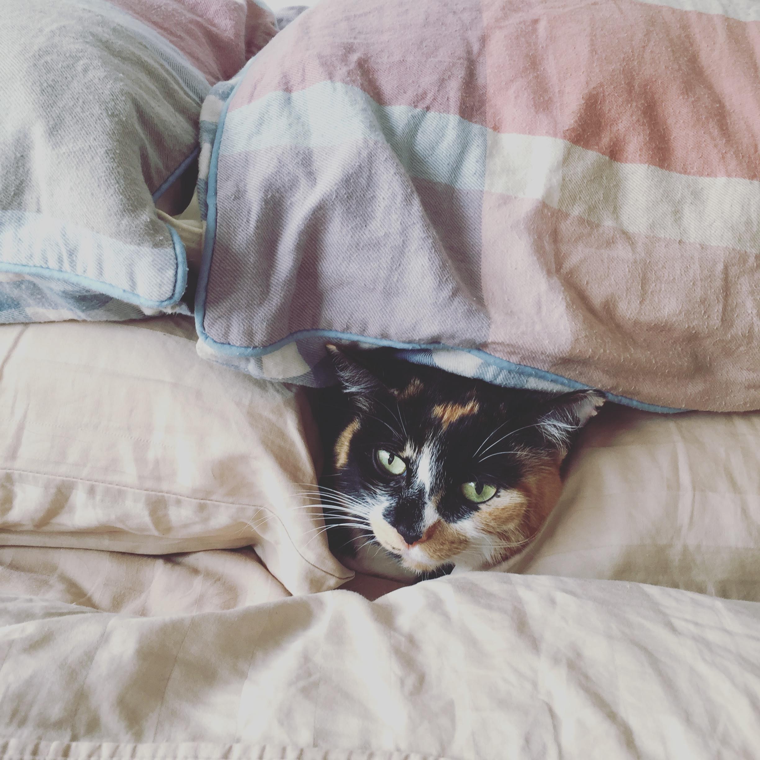 Sleep