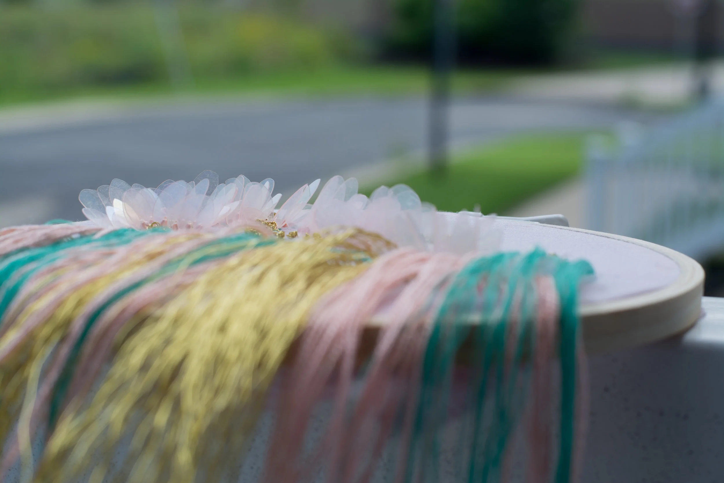 DSC_0167.jpg