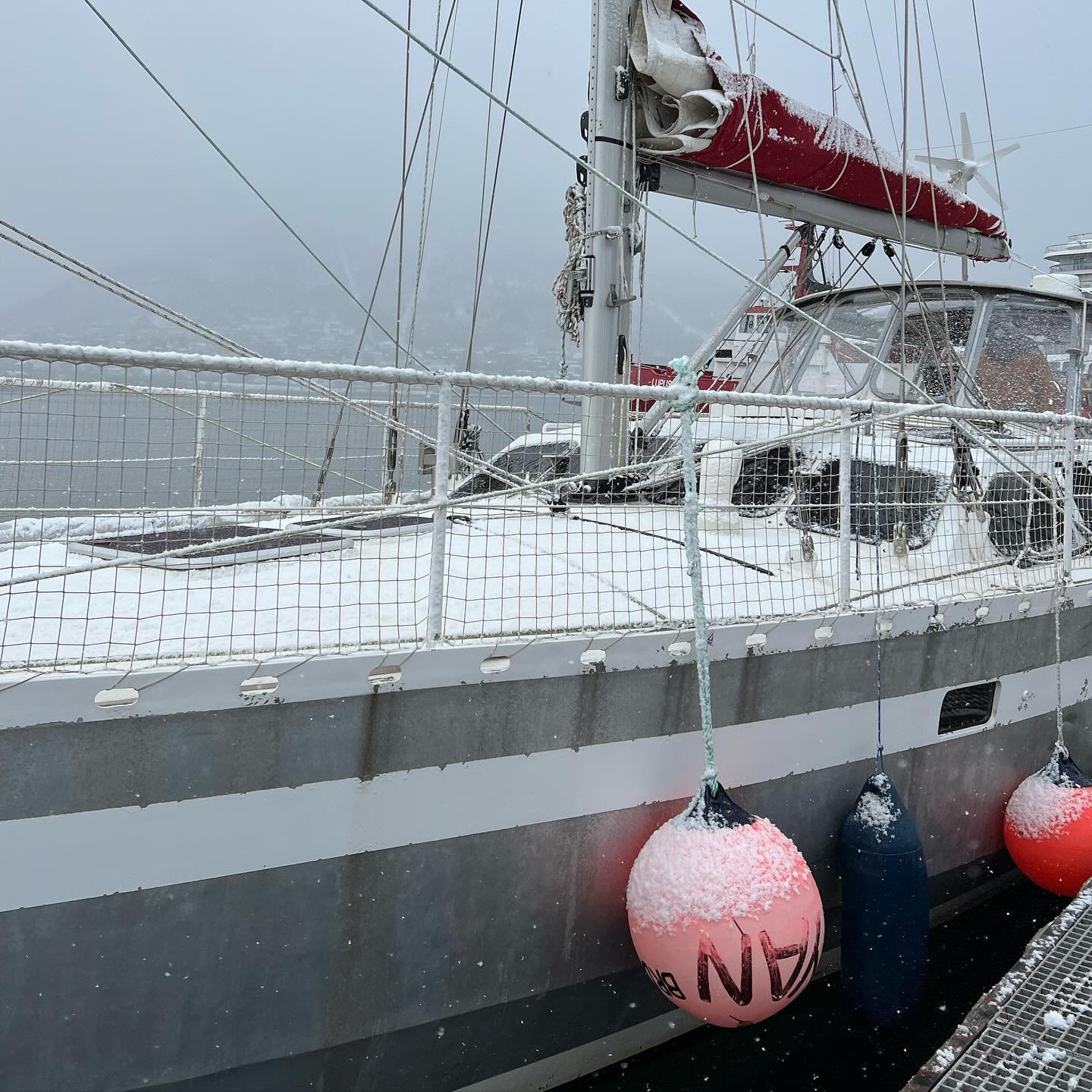 Eclectic day - snowstorms &amp; &ldquo;Na Zdrowie!&rdquo; for breakfast, polar museum for lunch. Thanks to our new Polish friends on S/V Southern Star for a warm welcome &amp; a snowball fight on the dock.

Oh, and don&rsquo;t forget to watch out for