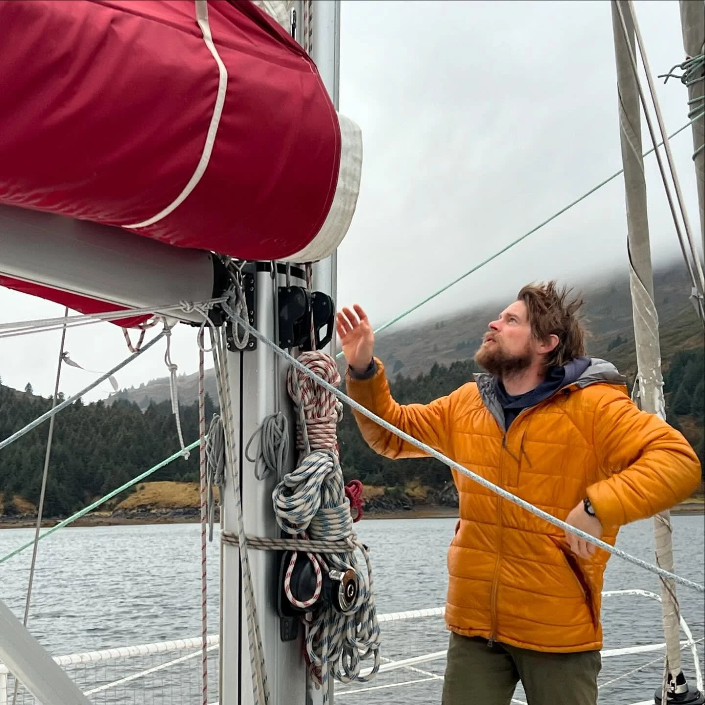100 miles to Home(r)!!! 

We crossed Shelikof Strait in the sunshine, got a fly-by from @alaskanvoyager, watched otters under moonlight, and saw our first real trees since Norway. It must be happening! 

We need one more decent weather window to make