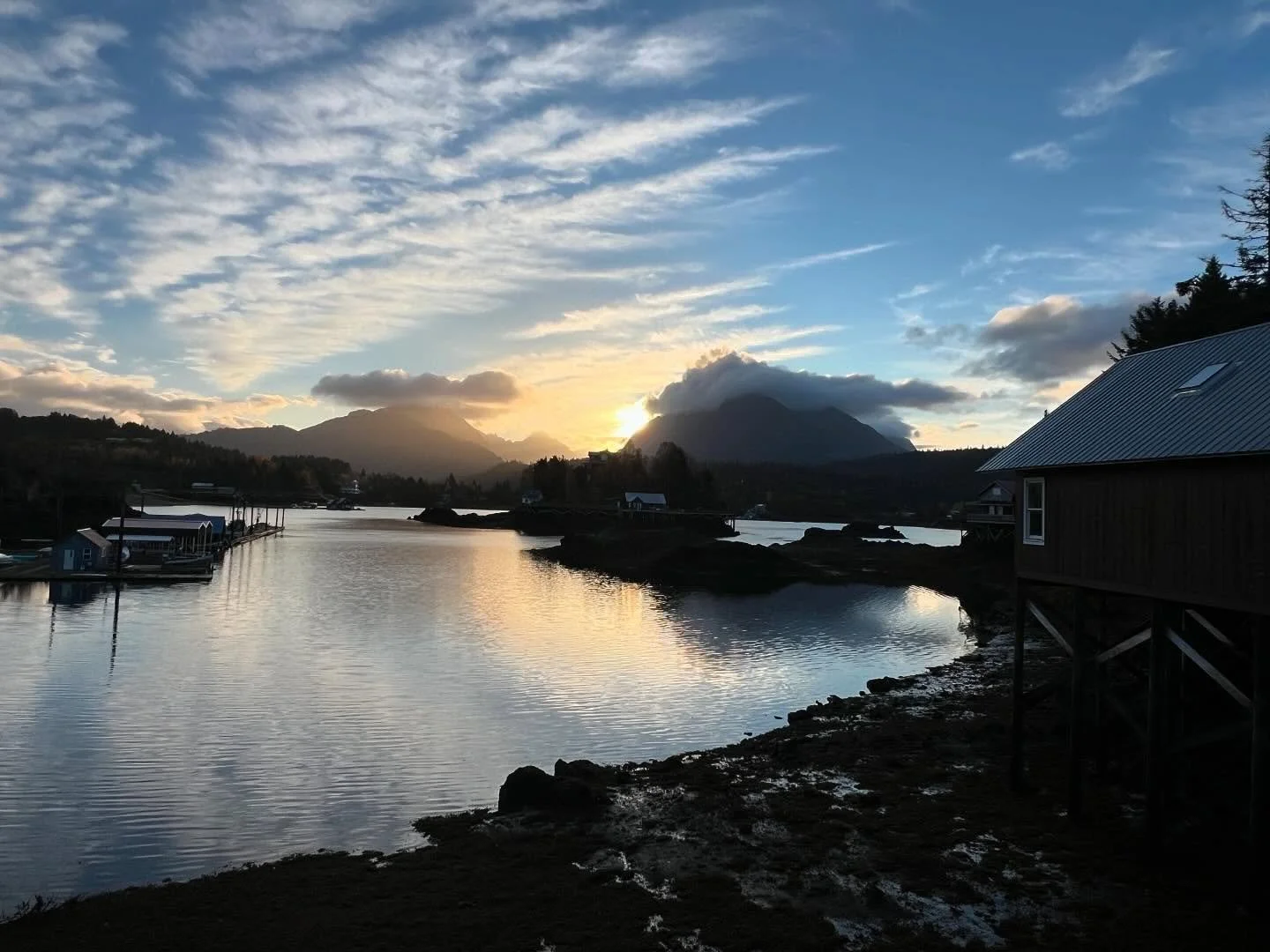 Thanks, Kachemak Bay, for the warm welcome! 

For all the ugliness in the world right now, feeling especially grateful for the sweet moments, unexpected generosities, and wild critters of home.