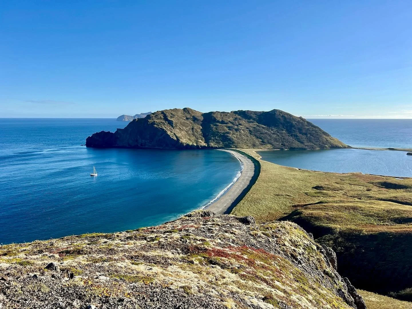 That one amazing day when the sun was shining, the blueberries were ripe, and the sea was flat! Castle Cape, AK Peninsula.