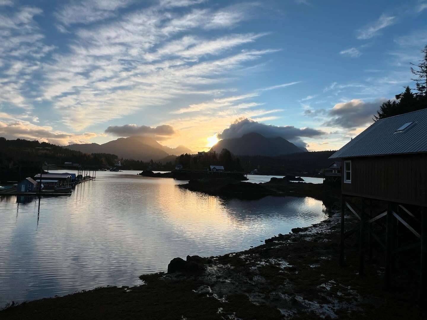 Thanks, Kachemak Bay, for a warm welcome! 

For all the ugliness in the world right now, feeling especially grateful for the sweet moments, unexpected generosities, and wild critters of home.
