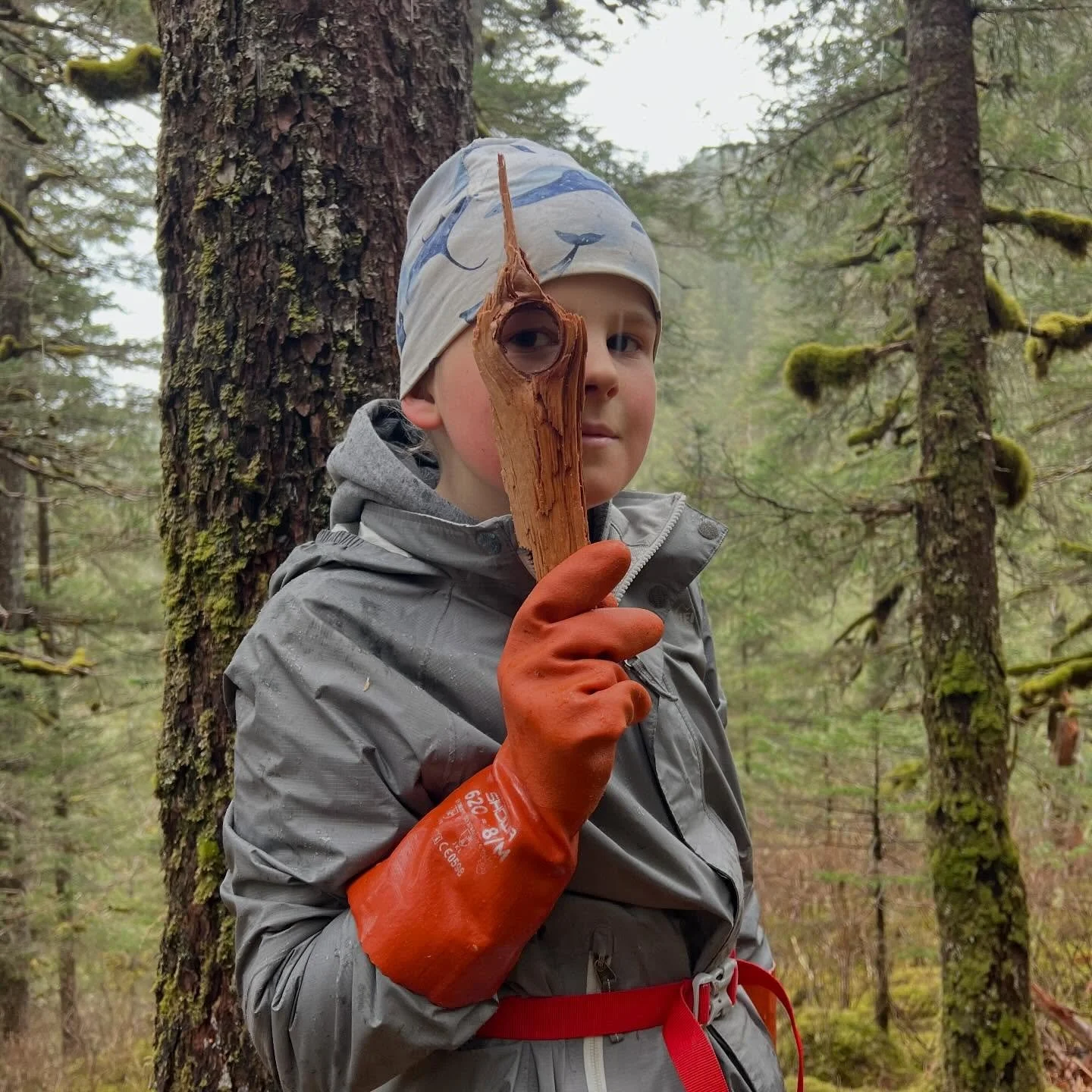 Drippy forest hikes, mixed precipitation, and a steady 38 degree chill. Feels like home!