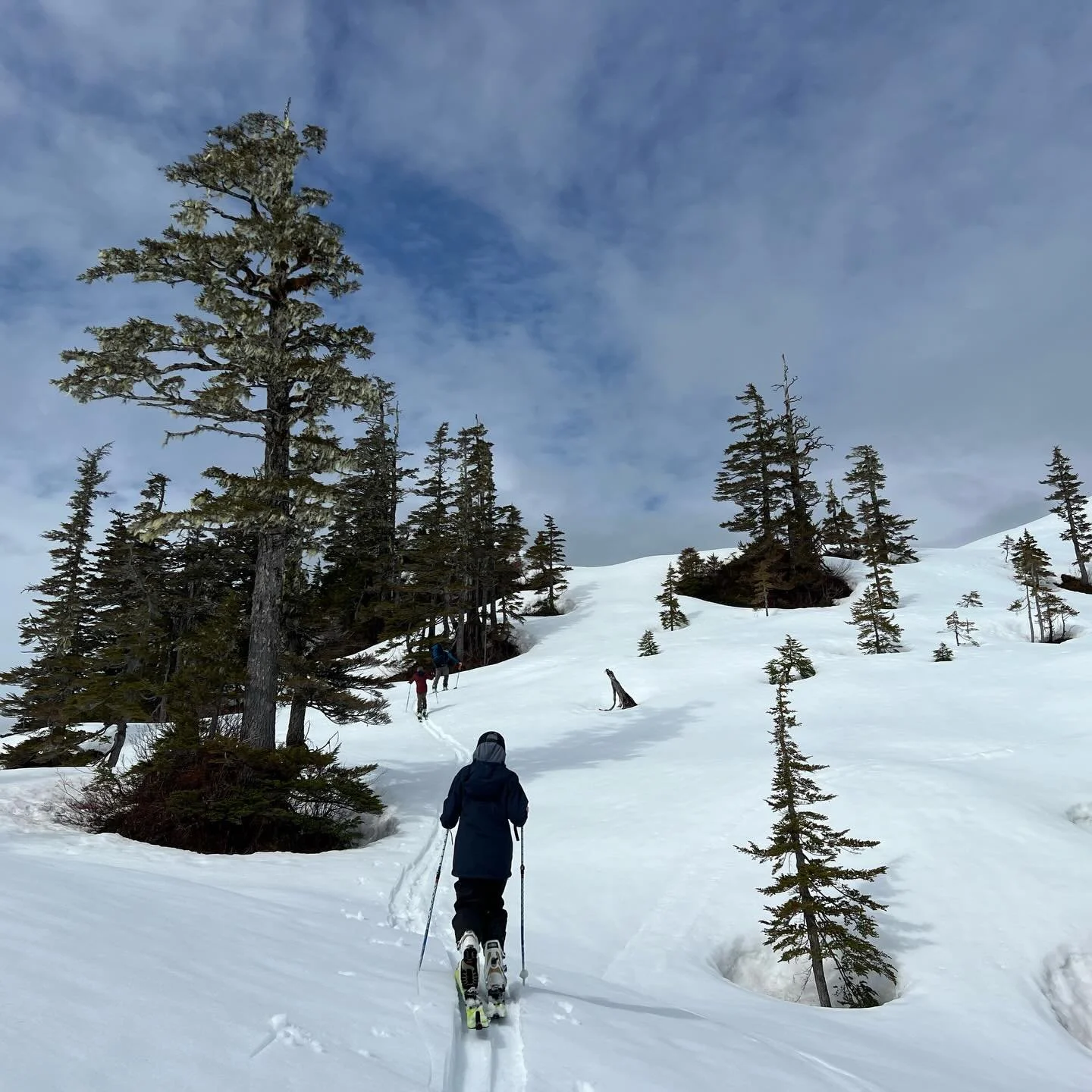 Skiing spring-style!
