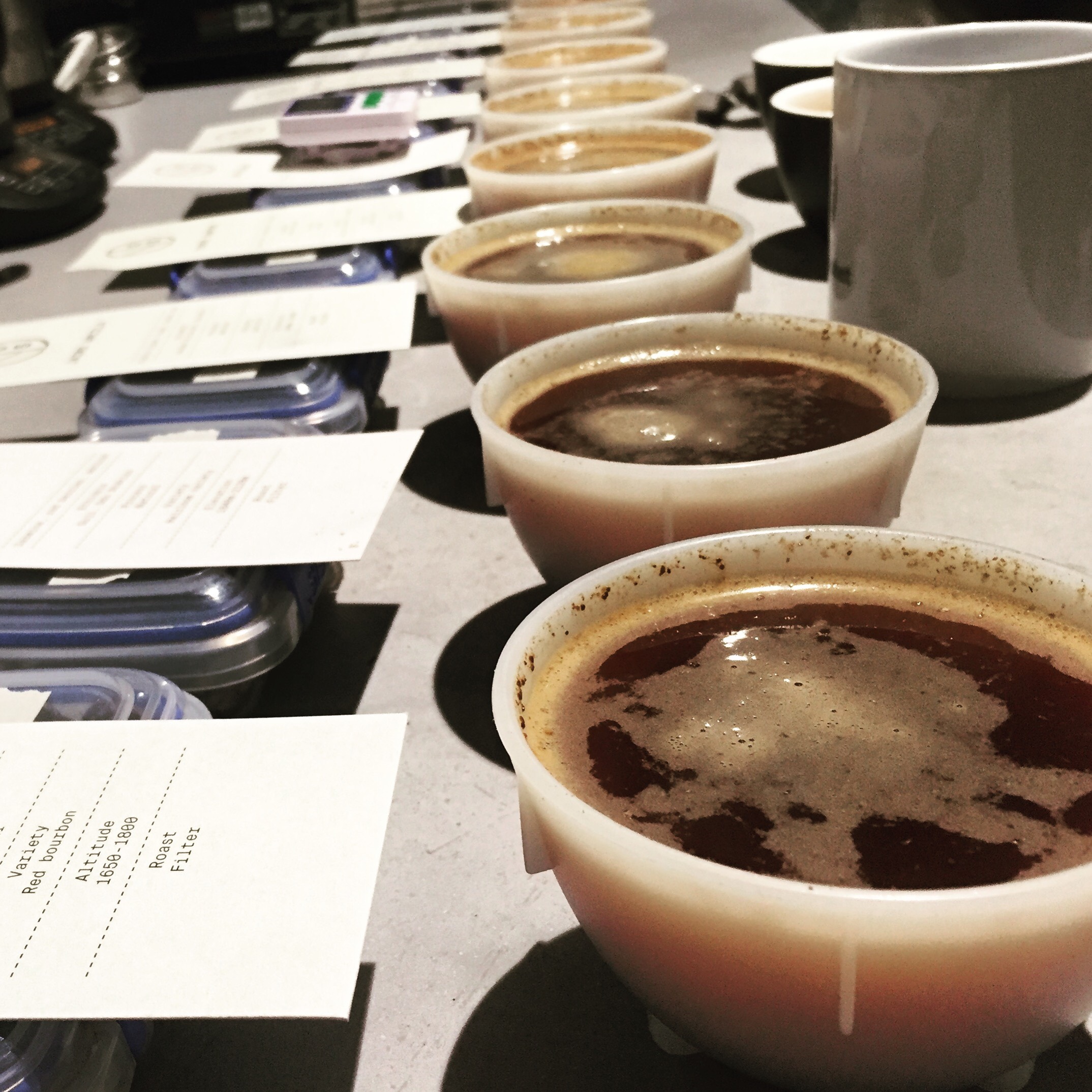 When head roaster Rummy invited us for a cupping we jumped at the chance. We slurped our way through all the current offerings and let me tell you they were all, AMAZING. OffShoot also hold public cuppings every Thursday at 5pm.
