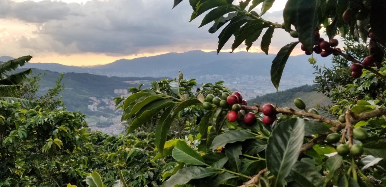 La Sierra - Overlooking Medellin, Colombia