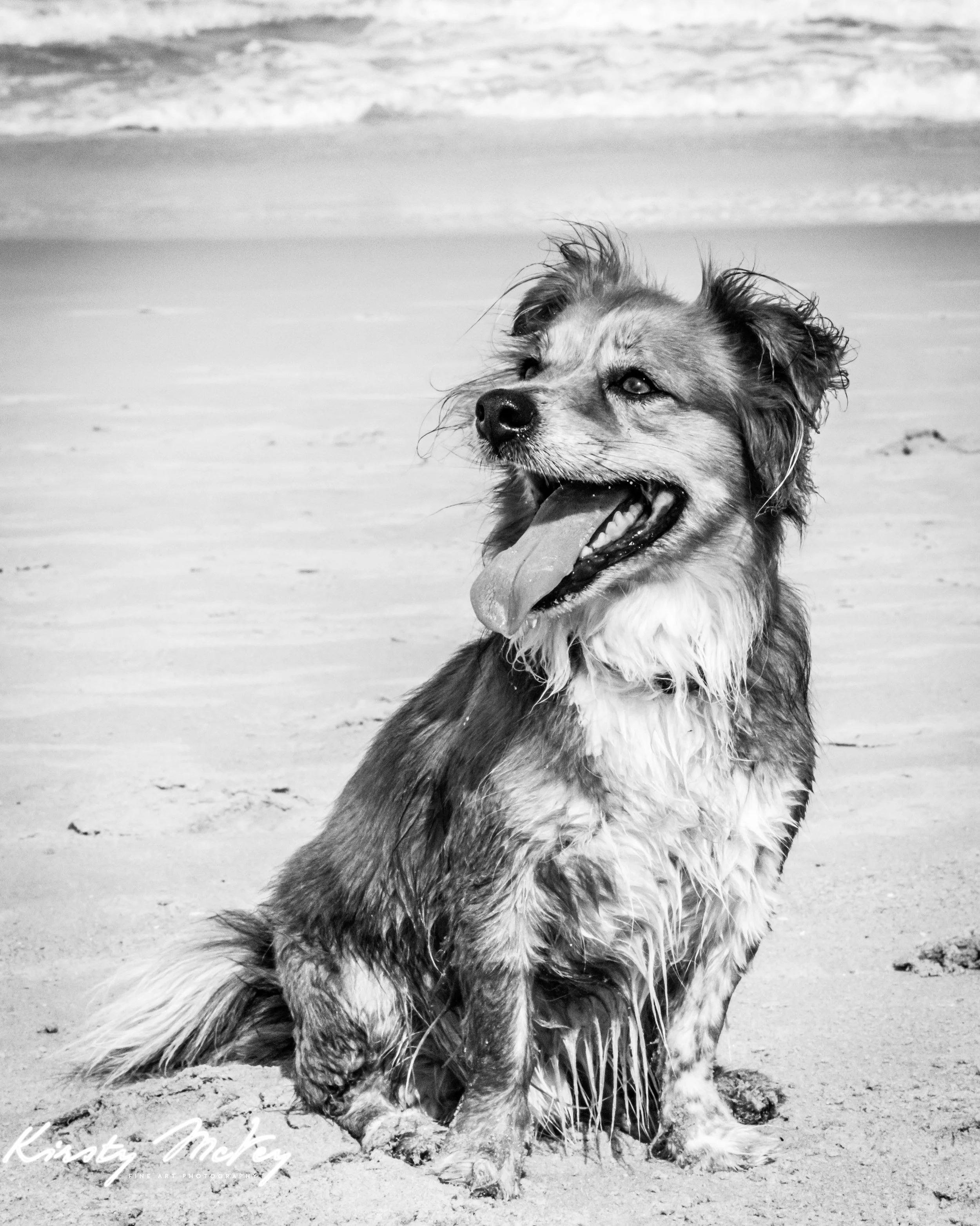 Wilfred