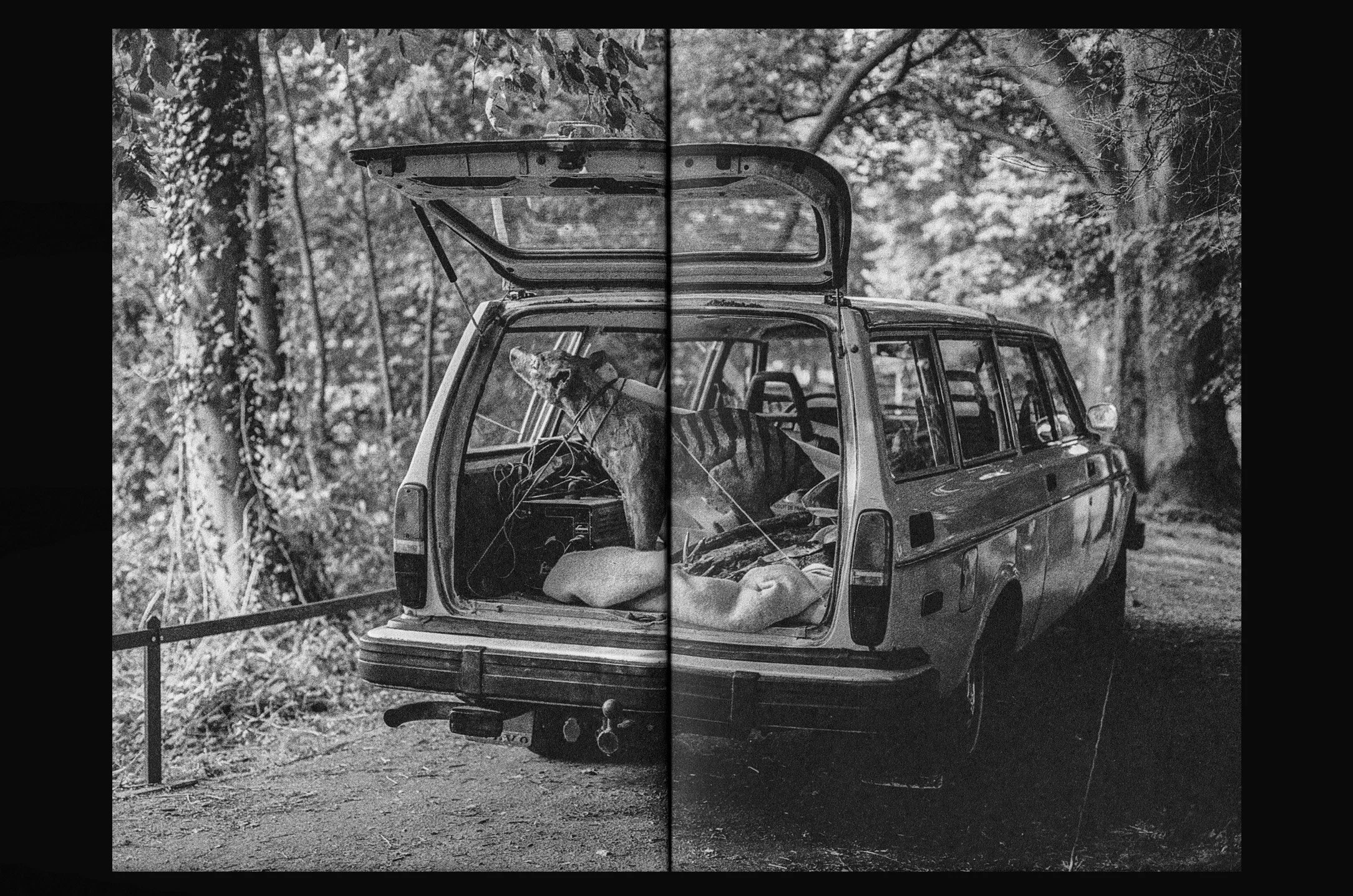 3 (2020_09_18 10_48_07 UTC).jpg