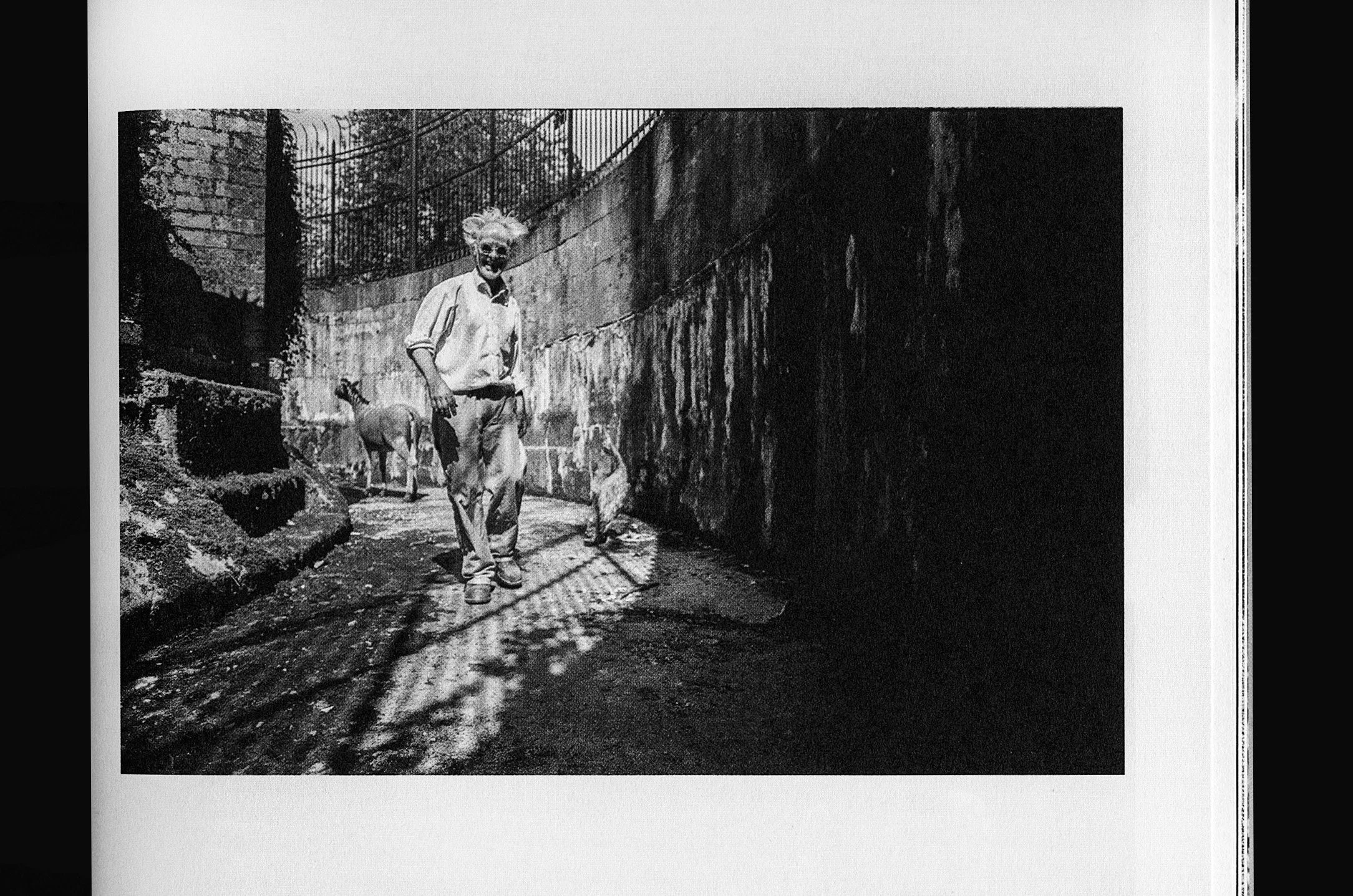 5 (2020_09_18 10_48_07 UTC).jpg