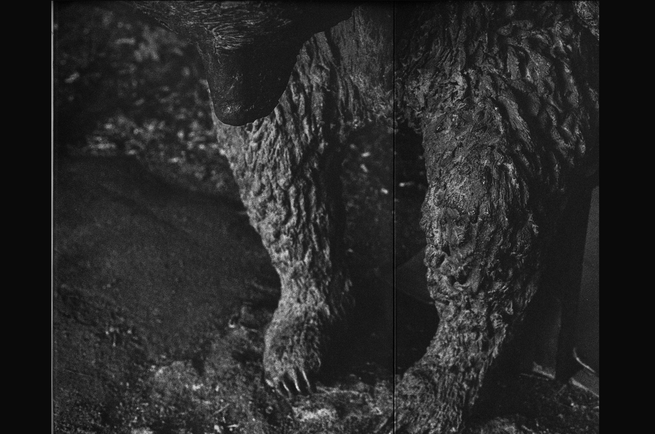 6 (2020_09_18 10_48_07 UTC).jpg