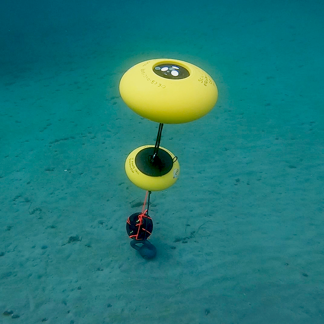 Acoustic Doppler Current Profiler — Water Solutions