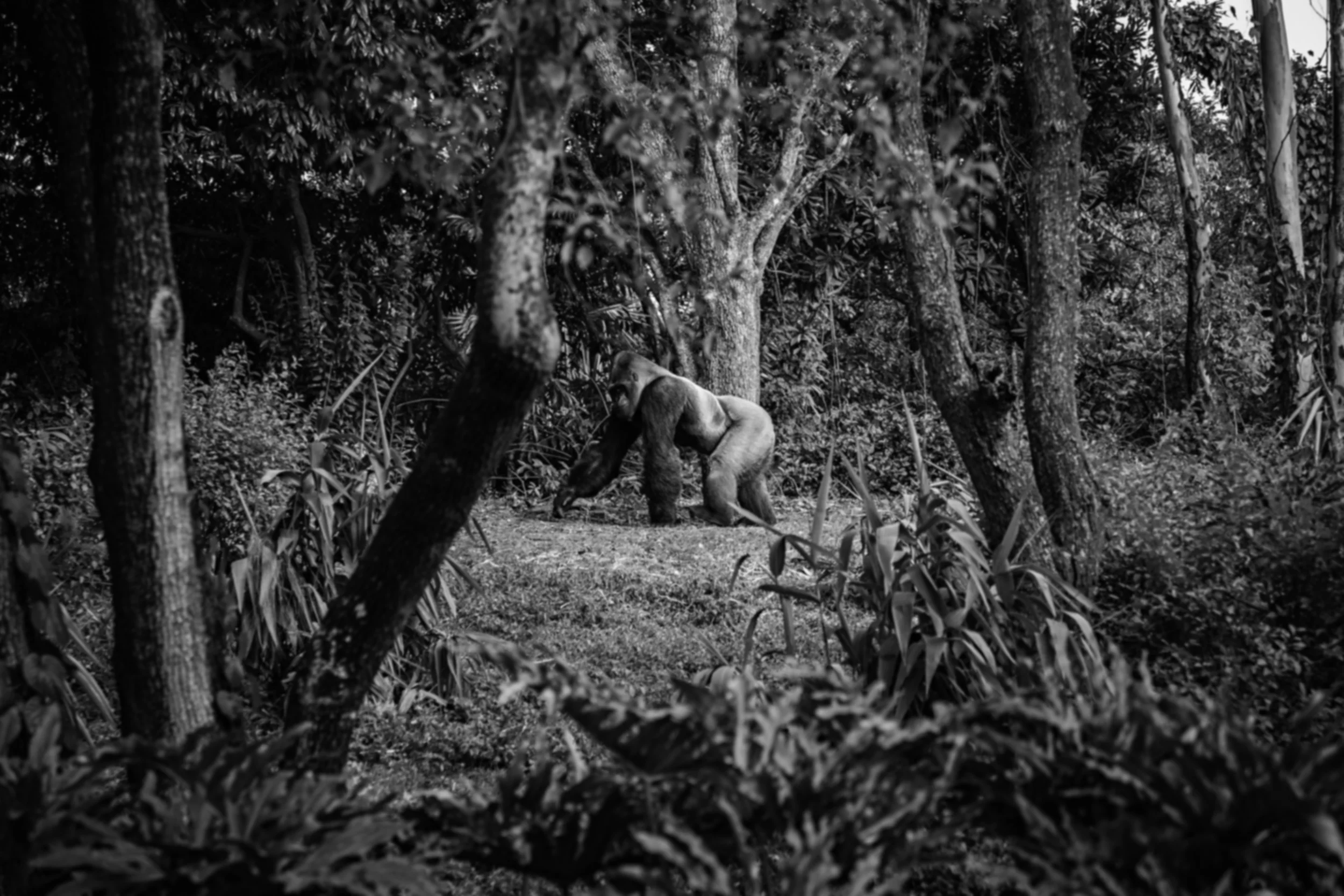 mike-arney-437121-unsplash.jpg
