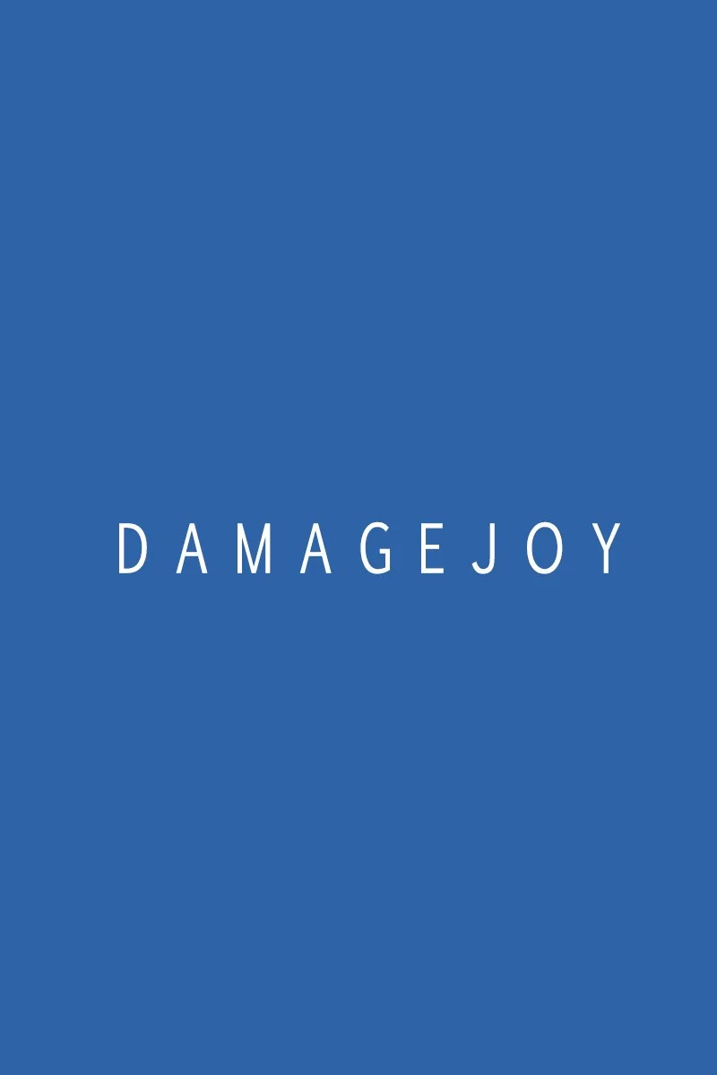 Damagejoy.jpg