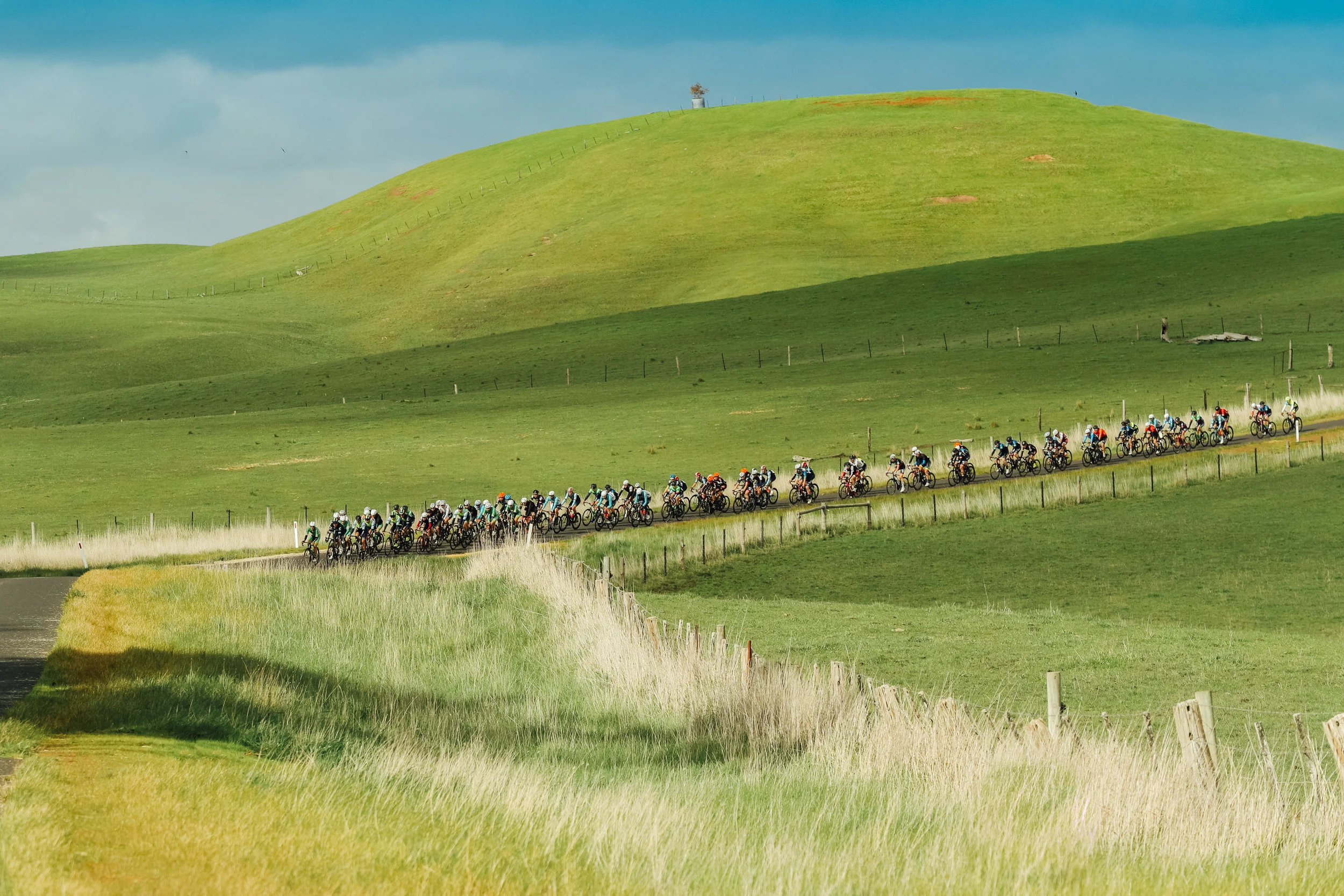 Tour of the Great South Coast - Day Three