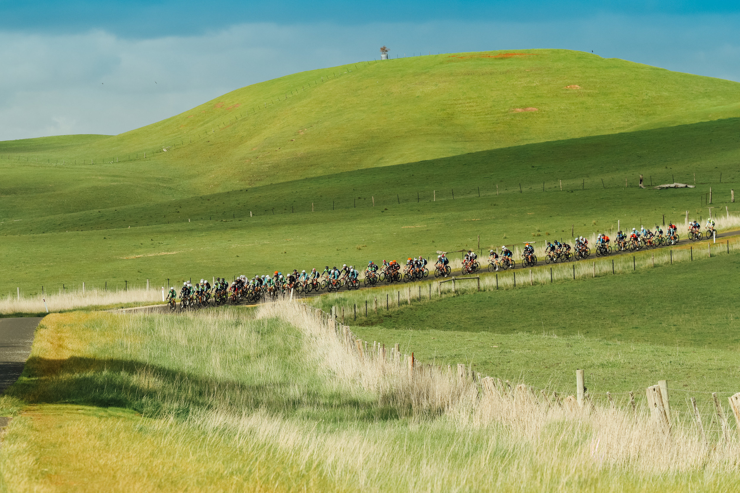 Tour of the Great South Coast - Day Three
