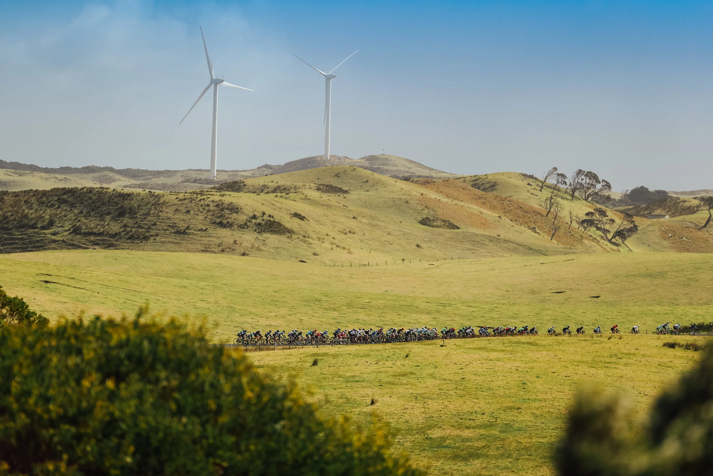 Tour of the Great South Coast - Day Four