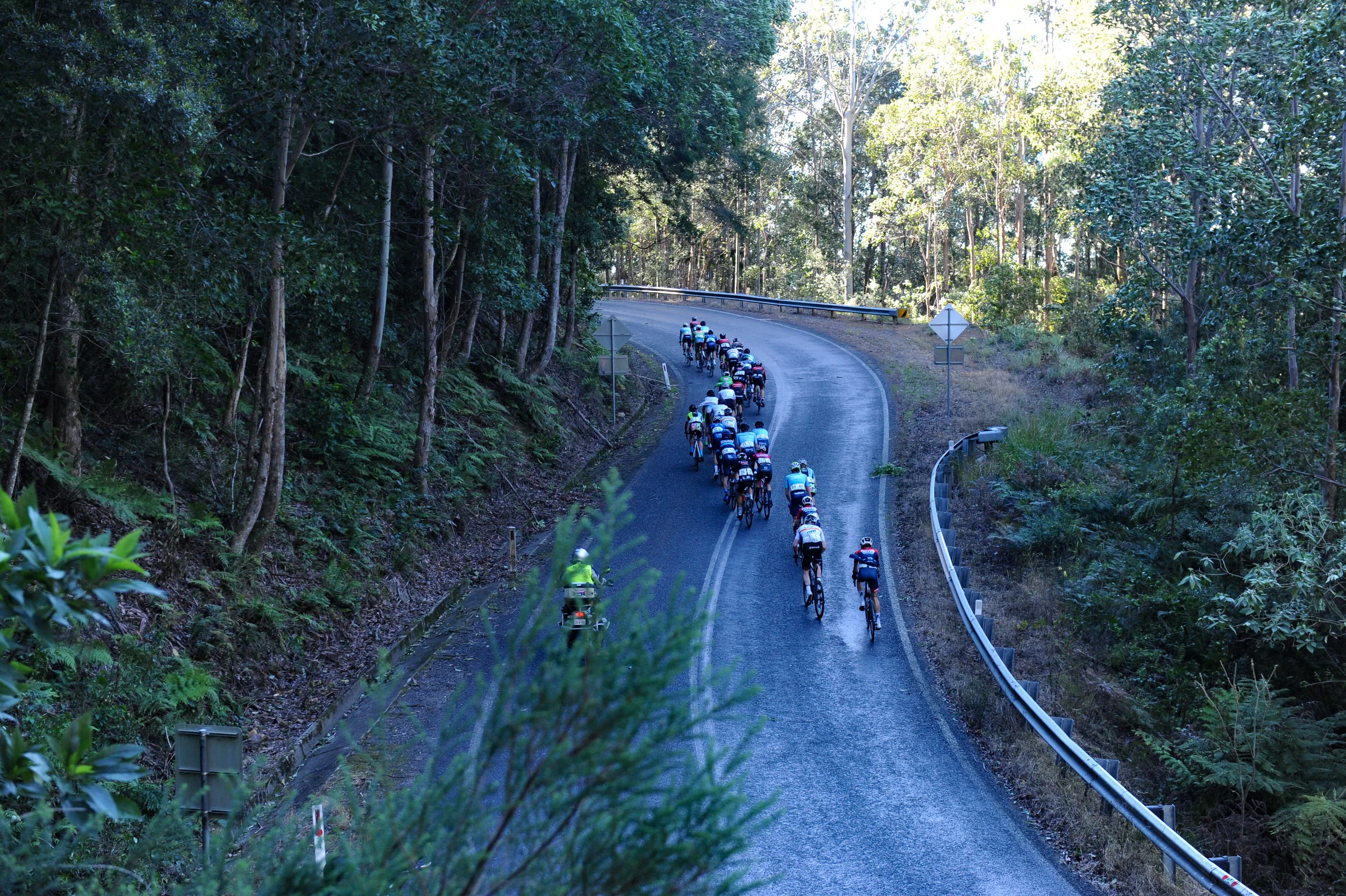 DSC_0171.jpg