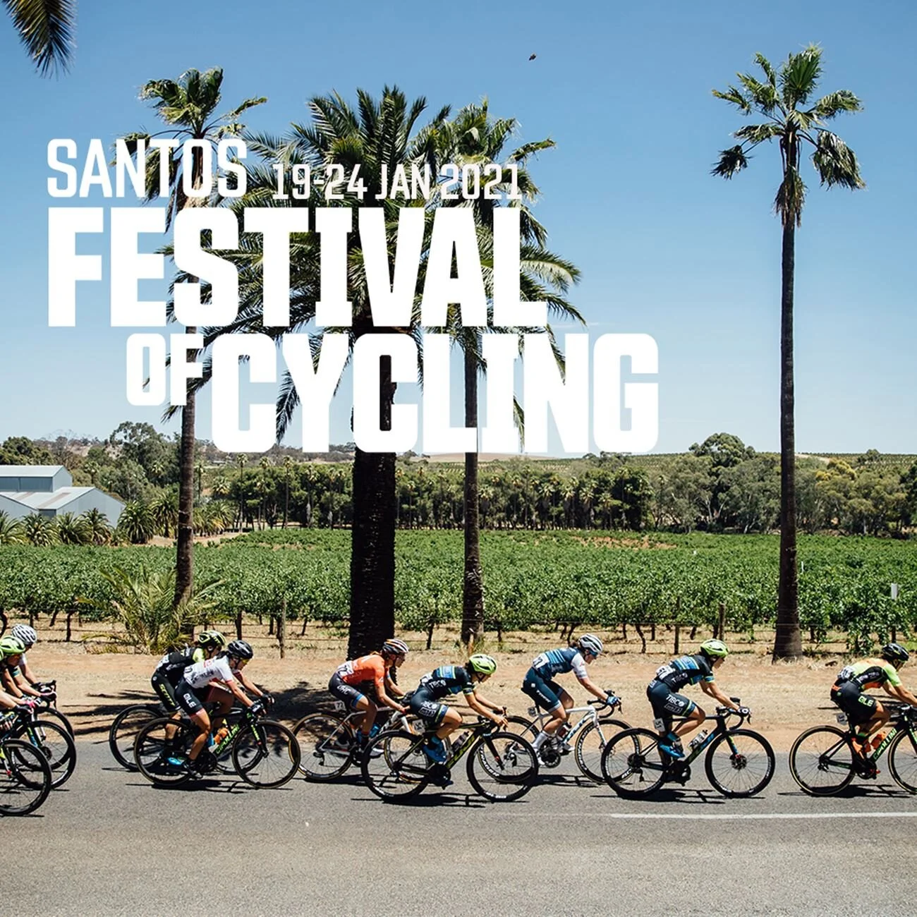 Santos Festival of Cycling