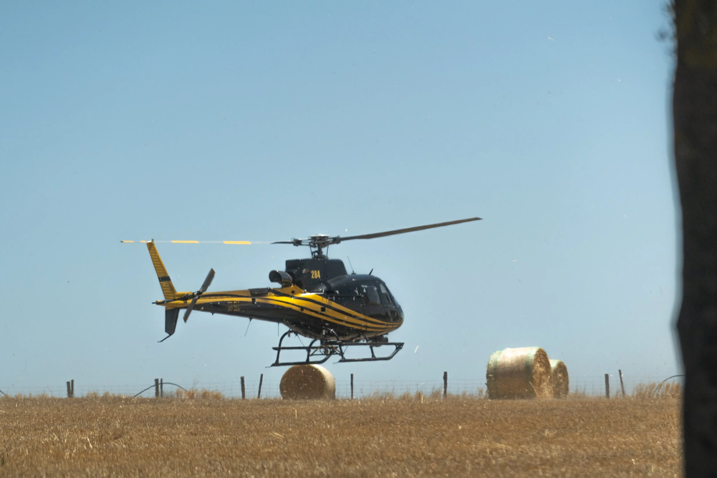 untitled shoot-03689.jpg